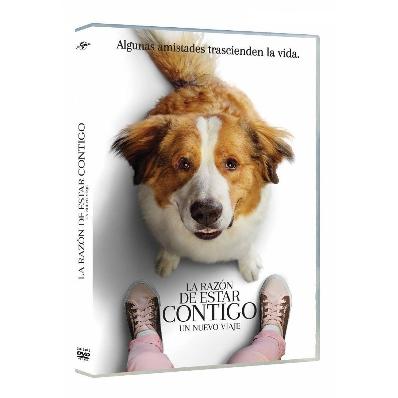 La Razon De Estar Contigo Un Nuevo Viaje Pelicula Dvd