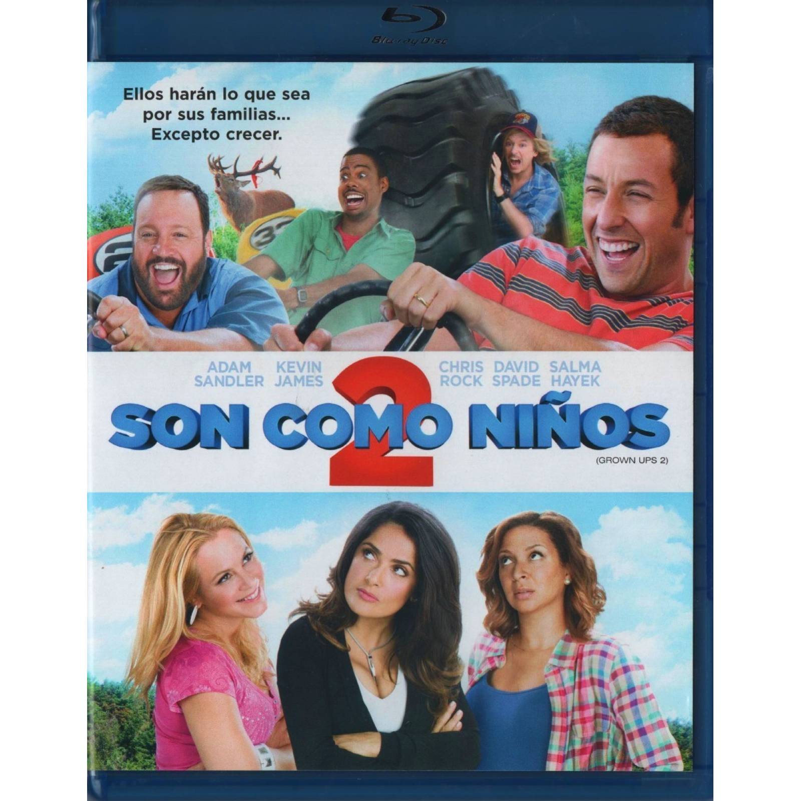 Son Como Niños 2 Grown Ups 2 Comedia Pelicula Blu-ray