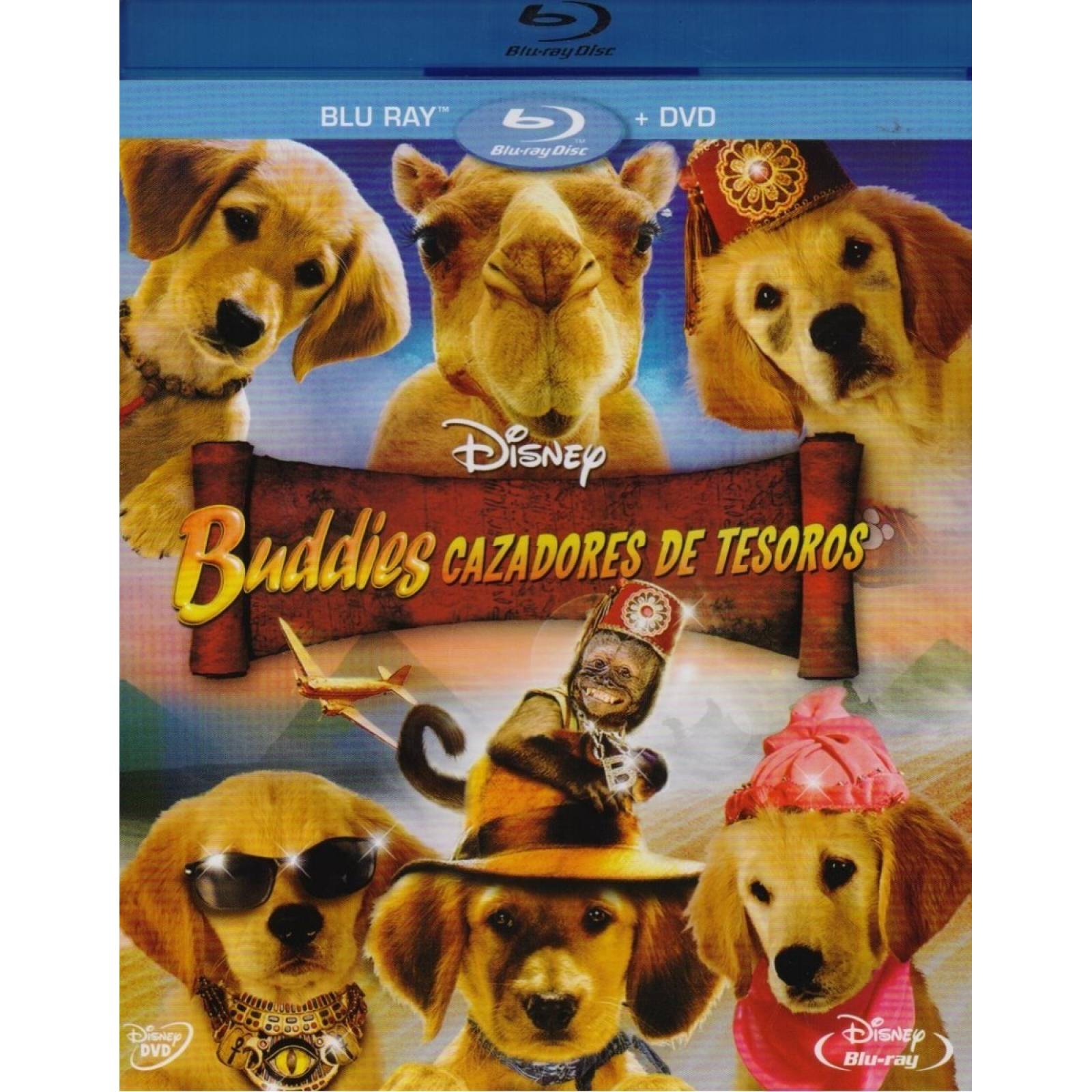 Buddies Cazadores De Tesoros Treasure Pelicula Blu ray Dvd