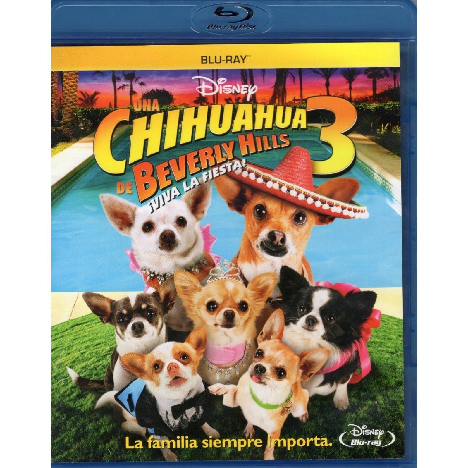 Chihuahua En Beverly Hills 3 Viva La Fiesta Pelicula Blu ray