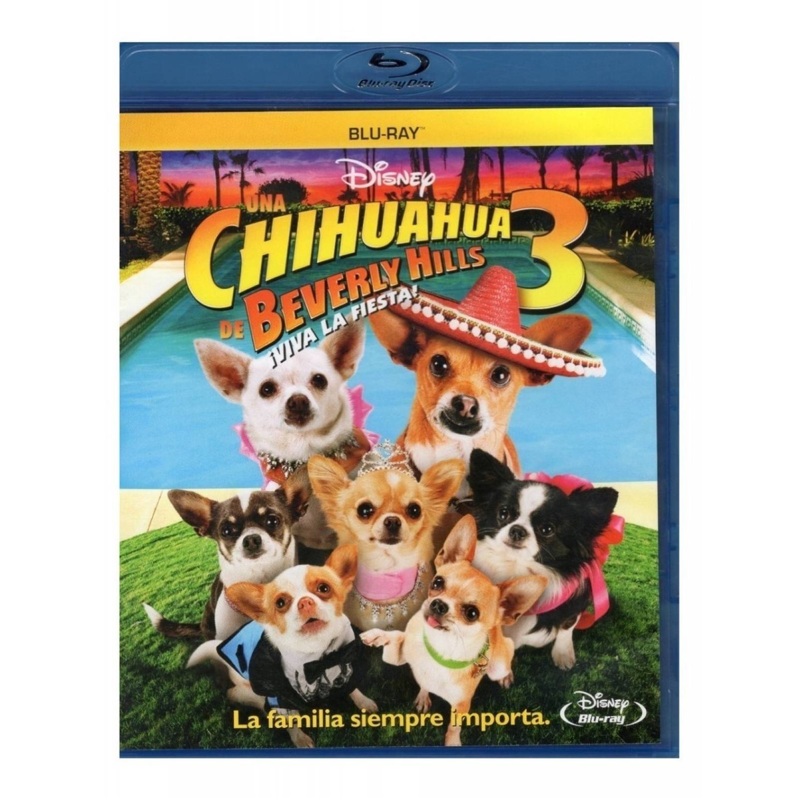 Chihuahua En Beverly Hills 3 Viva La Fiesta Pelicula Blu ray