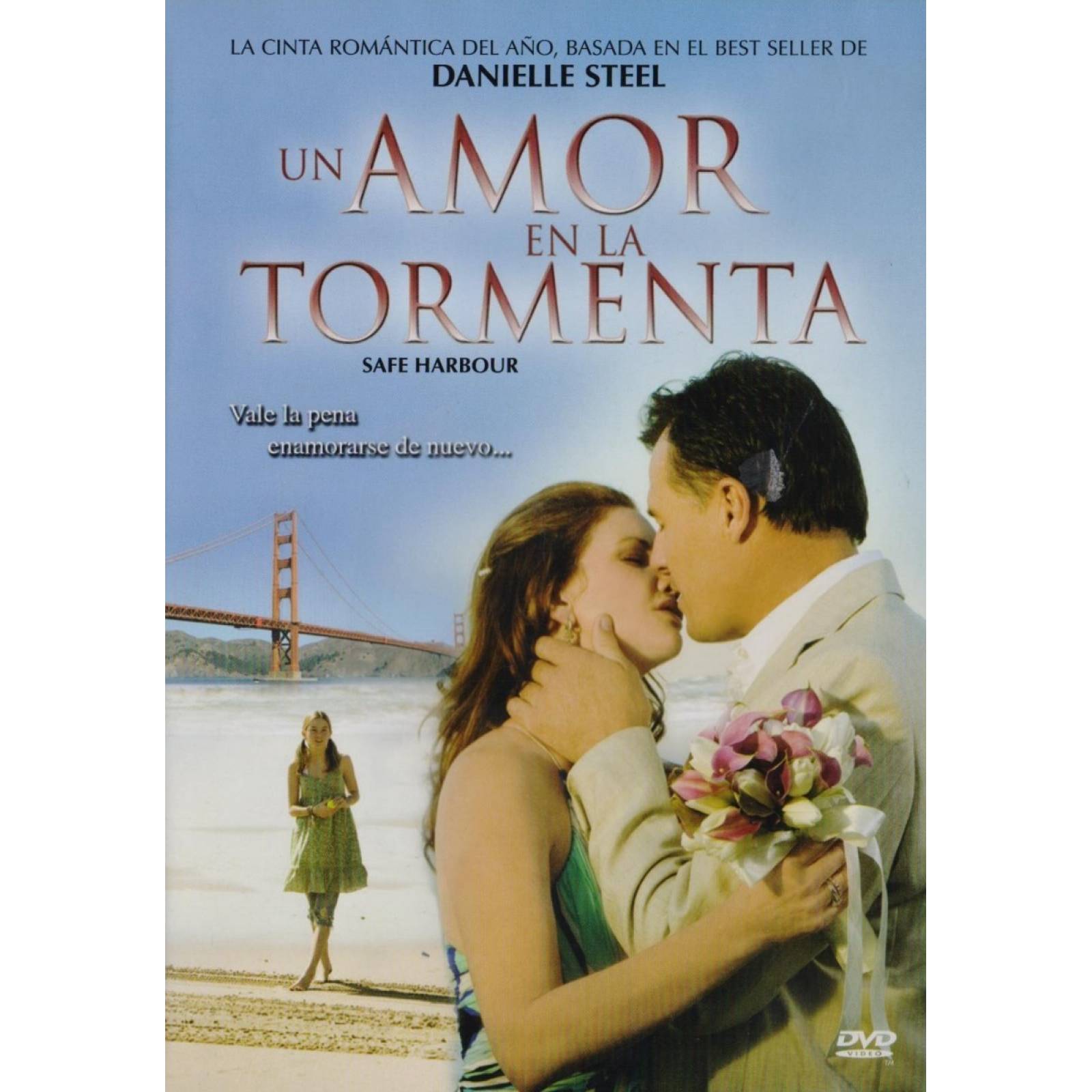 Un Amor En La Tormenta Pelicula Dvd