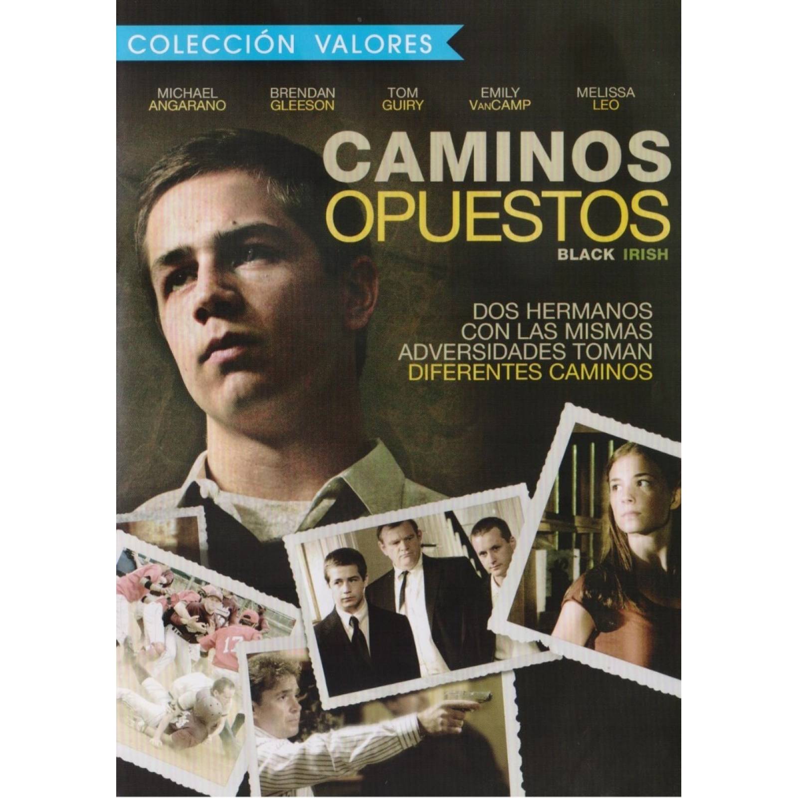 Caminos Opuestos Black Irish Michael Angarano Pelicula Dvd