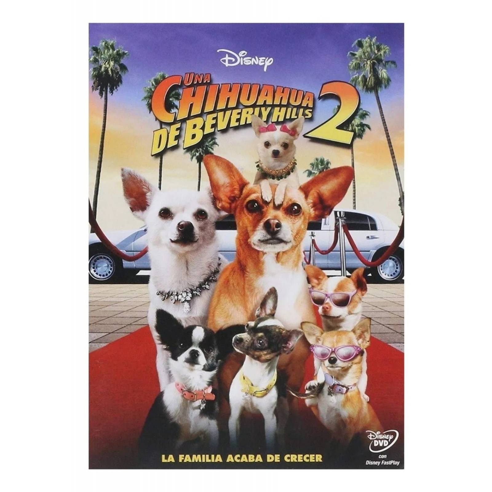 Una Chihuahua De Beverly Hills 2 Pelicula Dvd