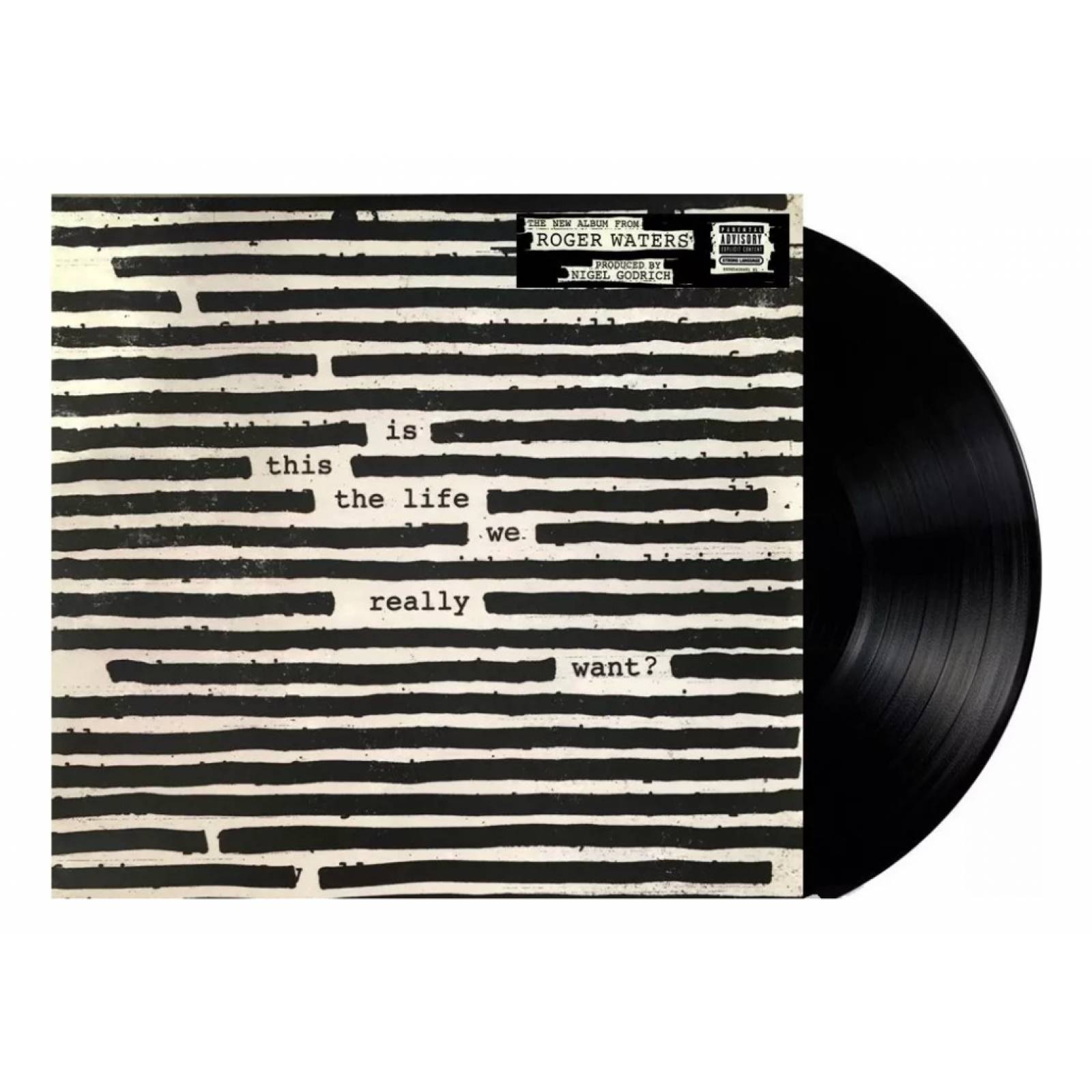Roger Waters Is This The Life We Really Want 2 Lp Vinyl