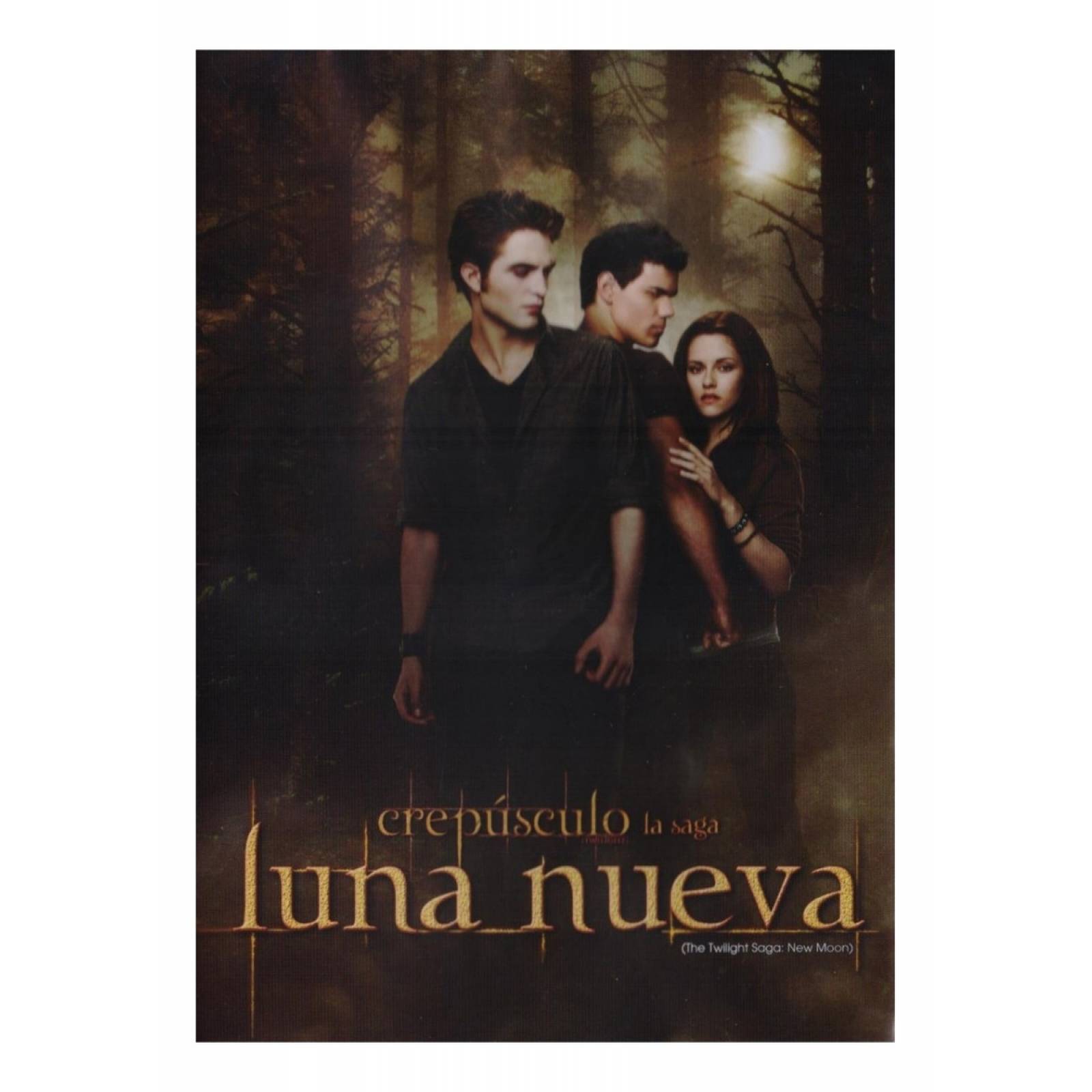 Sonata Para Un Hombre Bueno John Rabe Pelicula Dvd