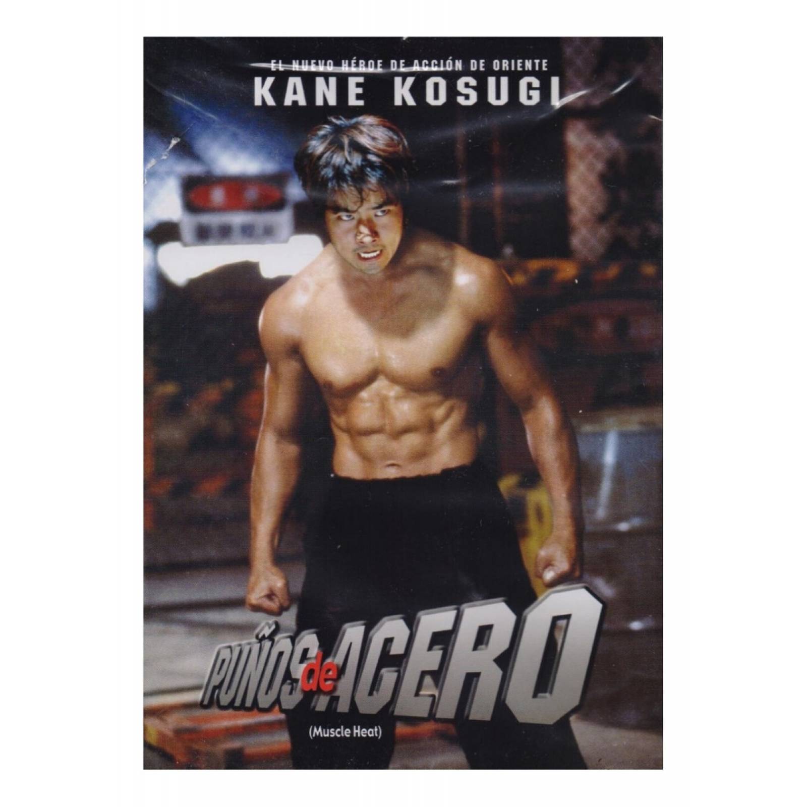 Puños De Acero Kane Kosugi Pelicula Dvd
