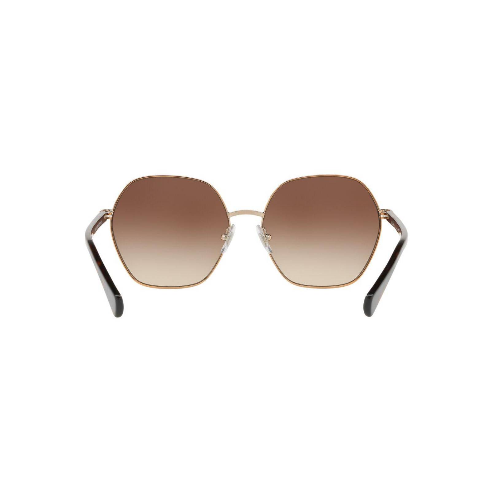 Lentes de Sol RA4124 Shiny Brown Ralph
