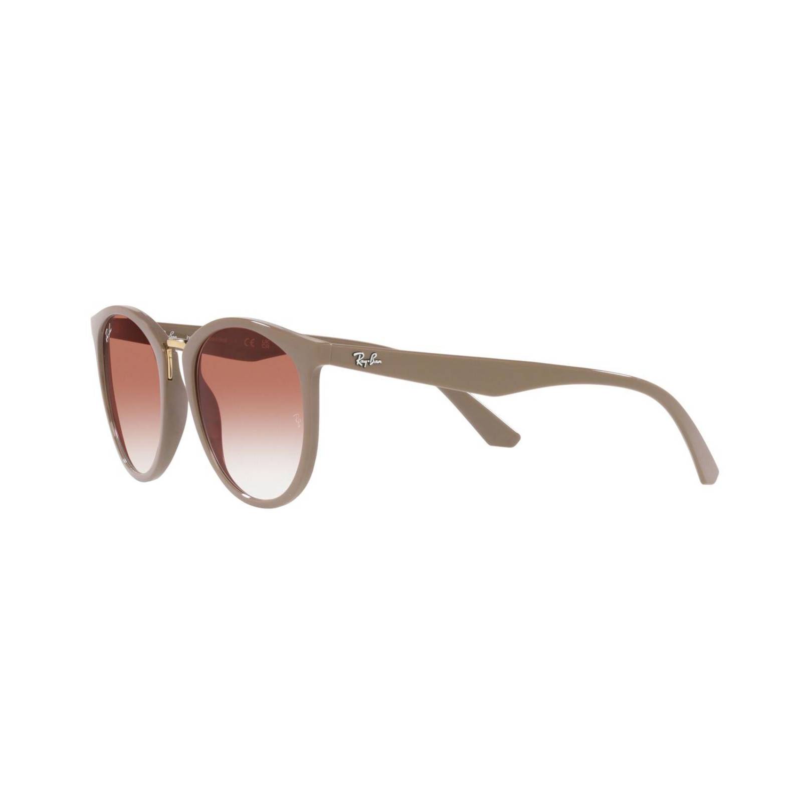 Lentes de Sol Panto Marron Ray-Ban 