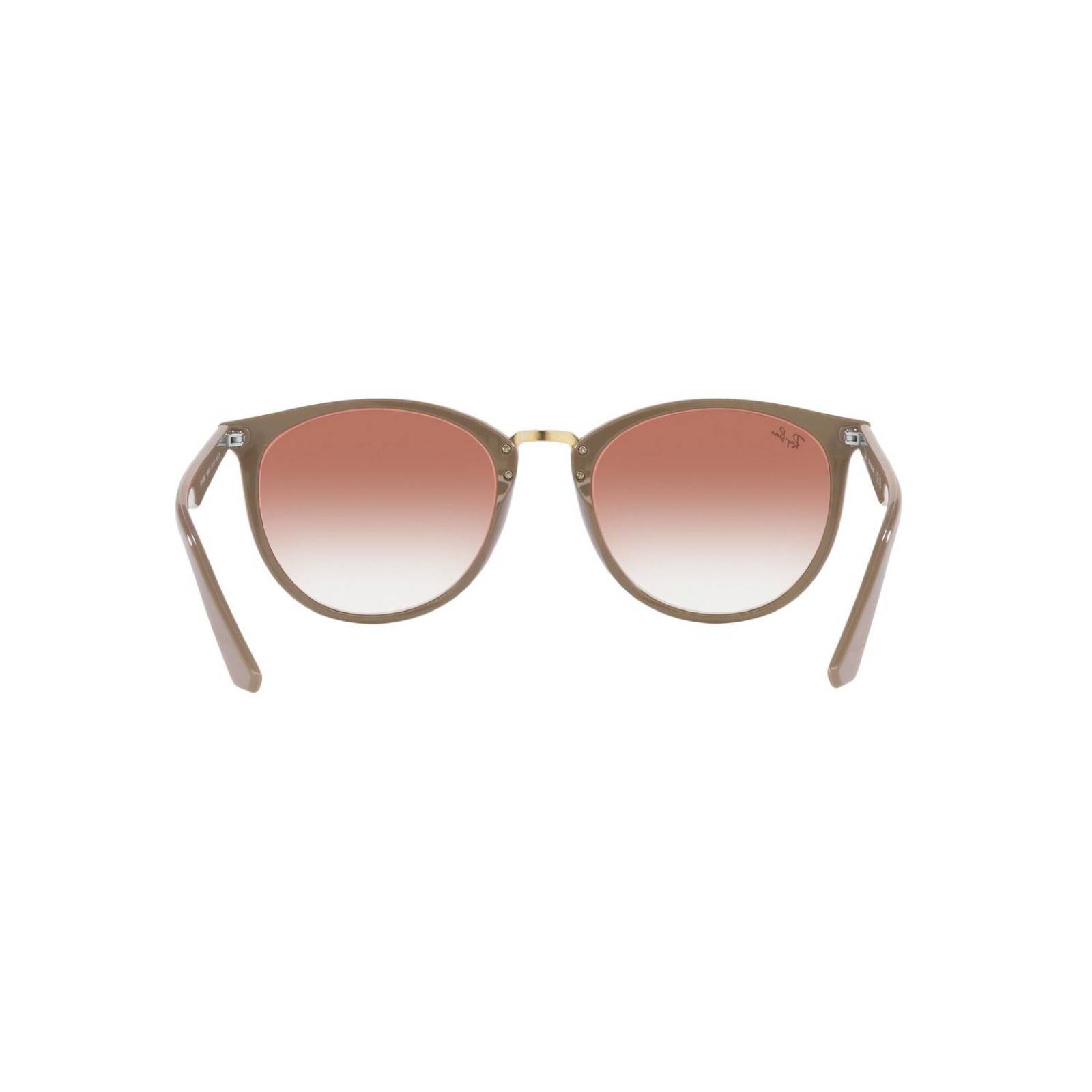 Lentes de Sol Panto Marron Ray-Ban 
