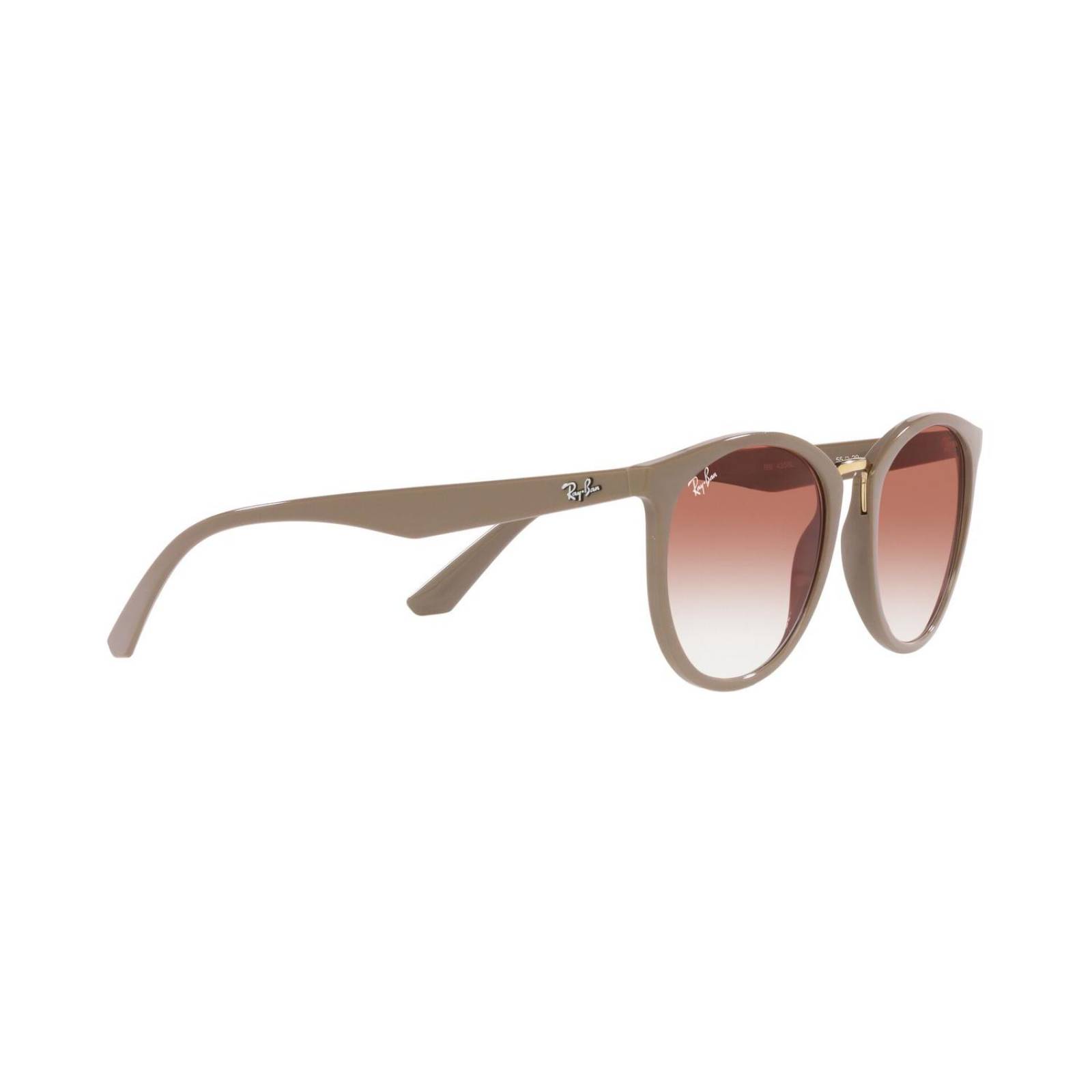 Lentes de Sol Panto Marron Ray-Ban 