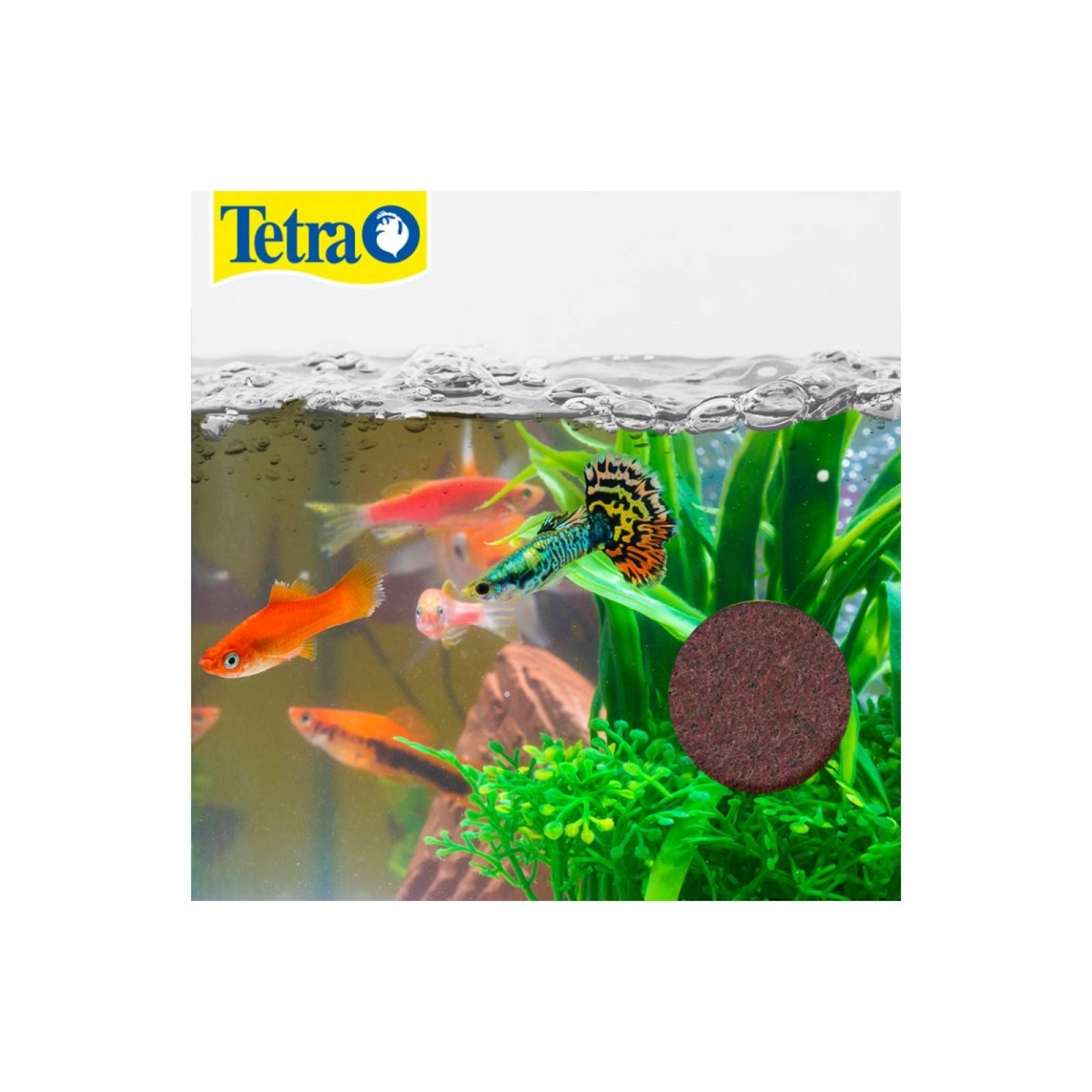 Tetra alimento en gel tetravacation 30 gr 