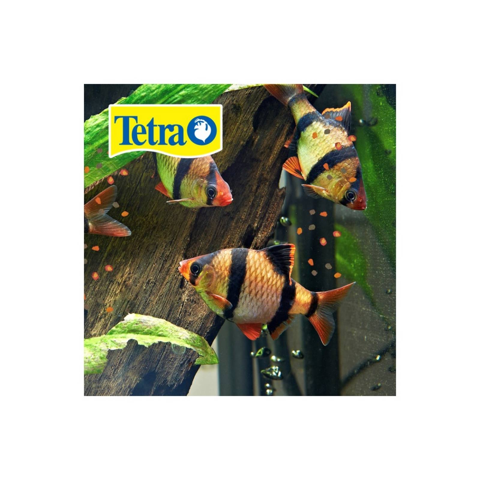  Tetra tetrapro goldfish crisp 224 gr