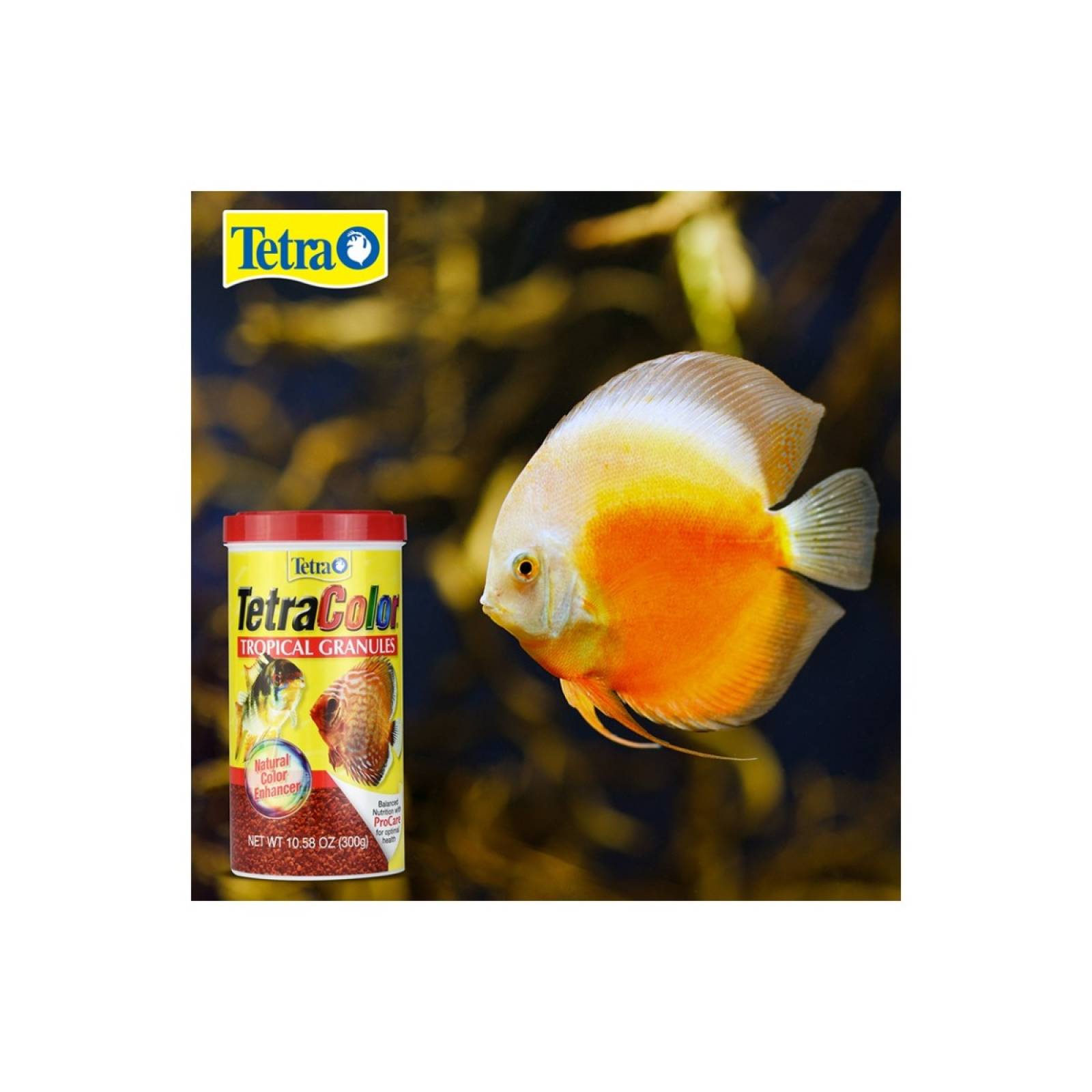 Tetra tetracolor tropical granulos 300 gr