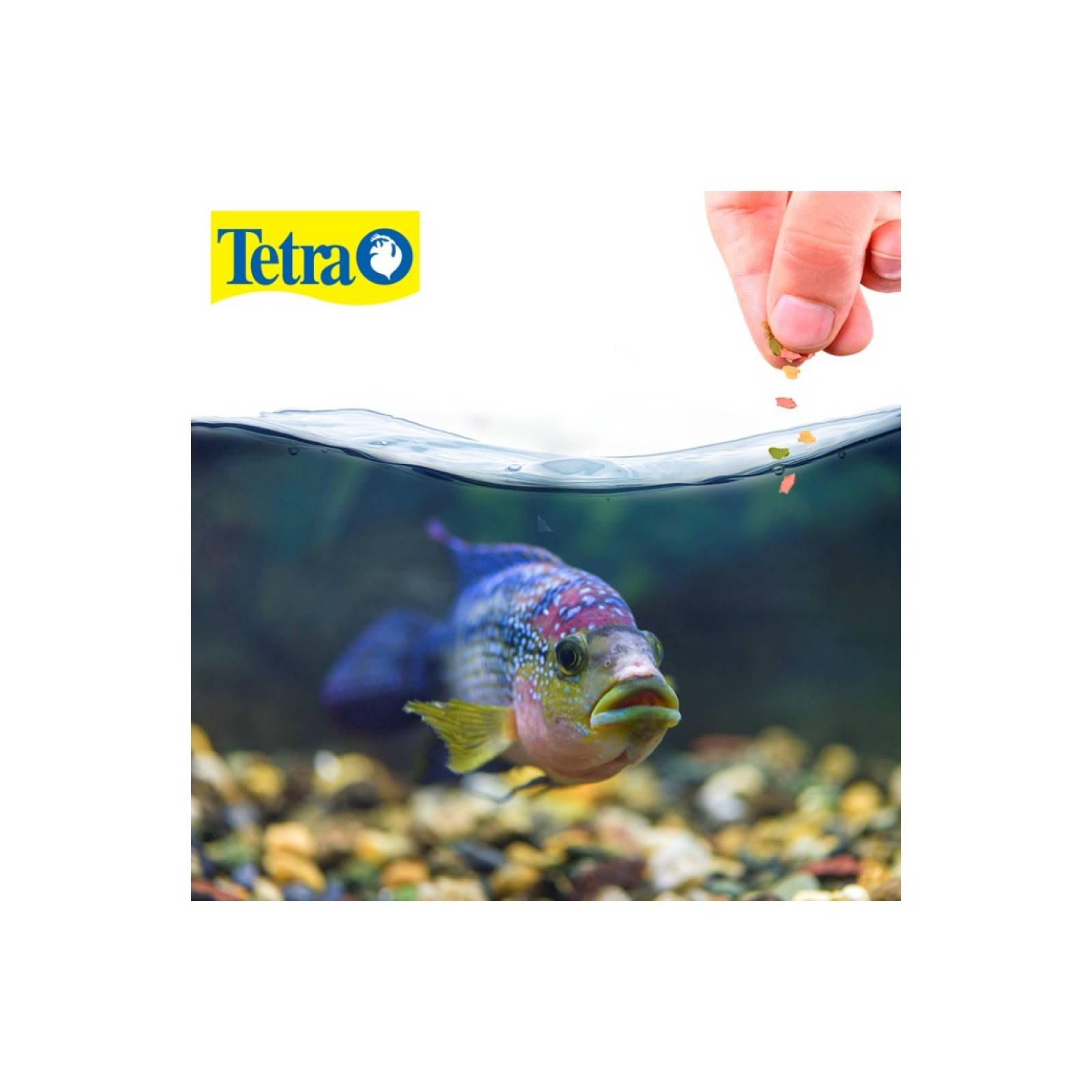 Tetra tetramin select-a-food 68 gr