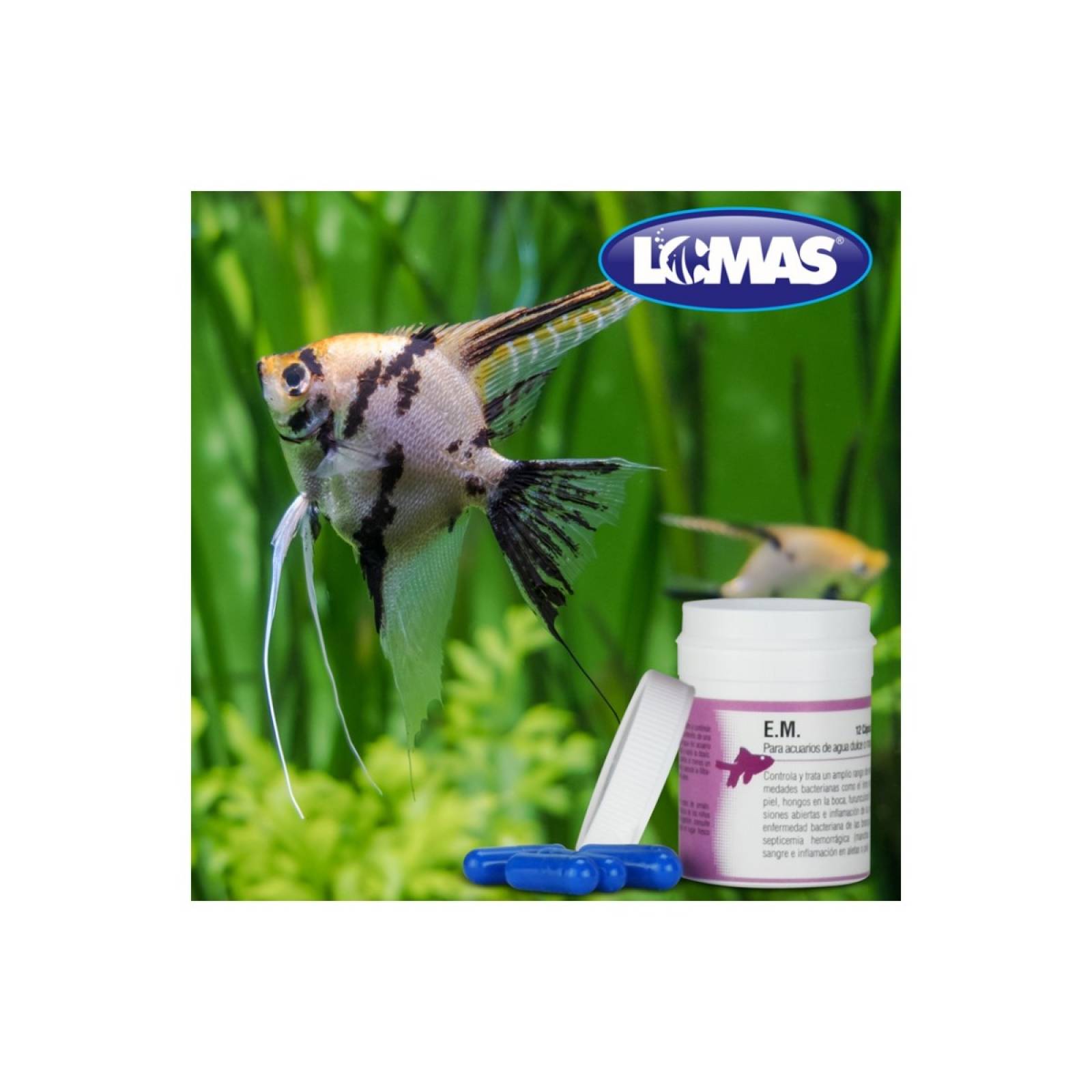 ACUARIO LOMAS E.M. 12 CAPSULAS