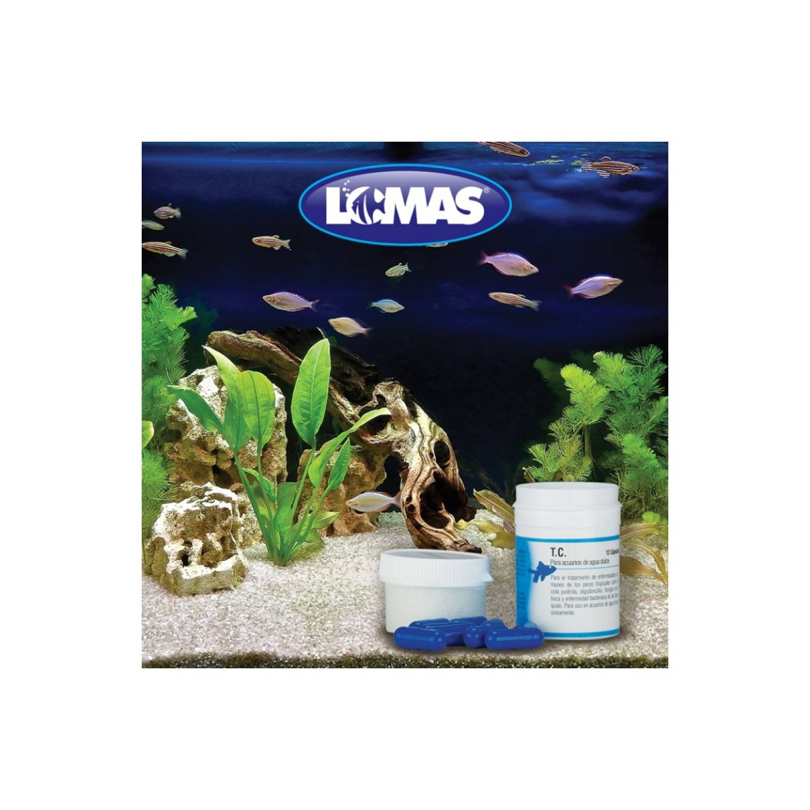 Acuario lomas t.c 12 capsulas