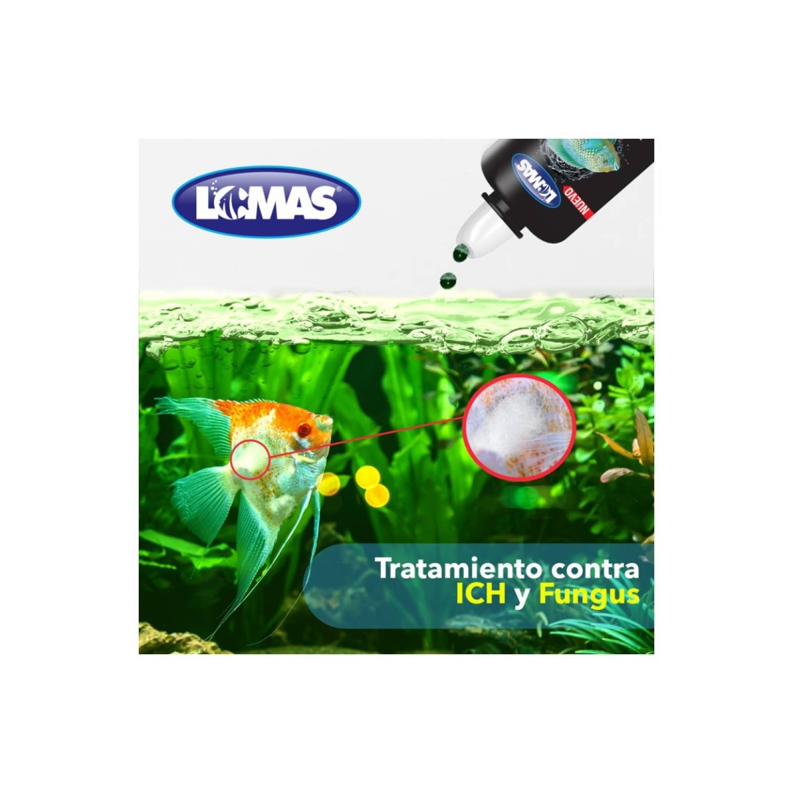 Acuario lomas verde plus 60 ml