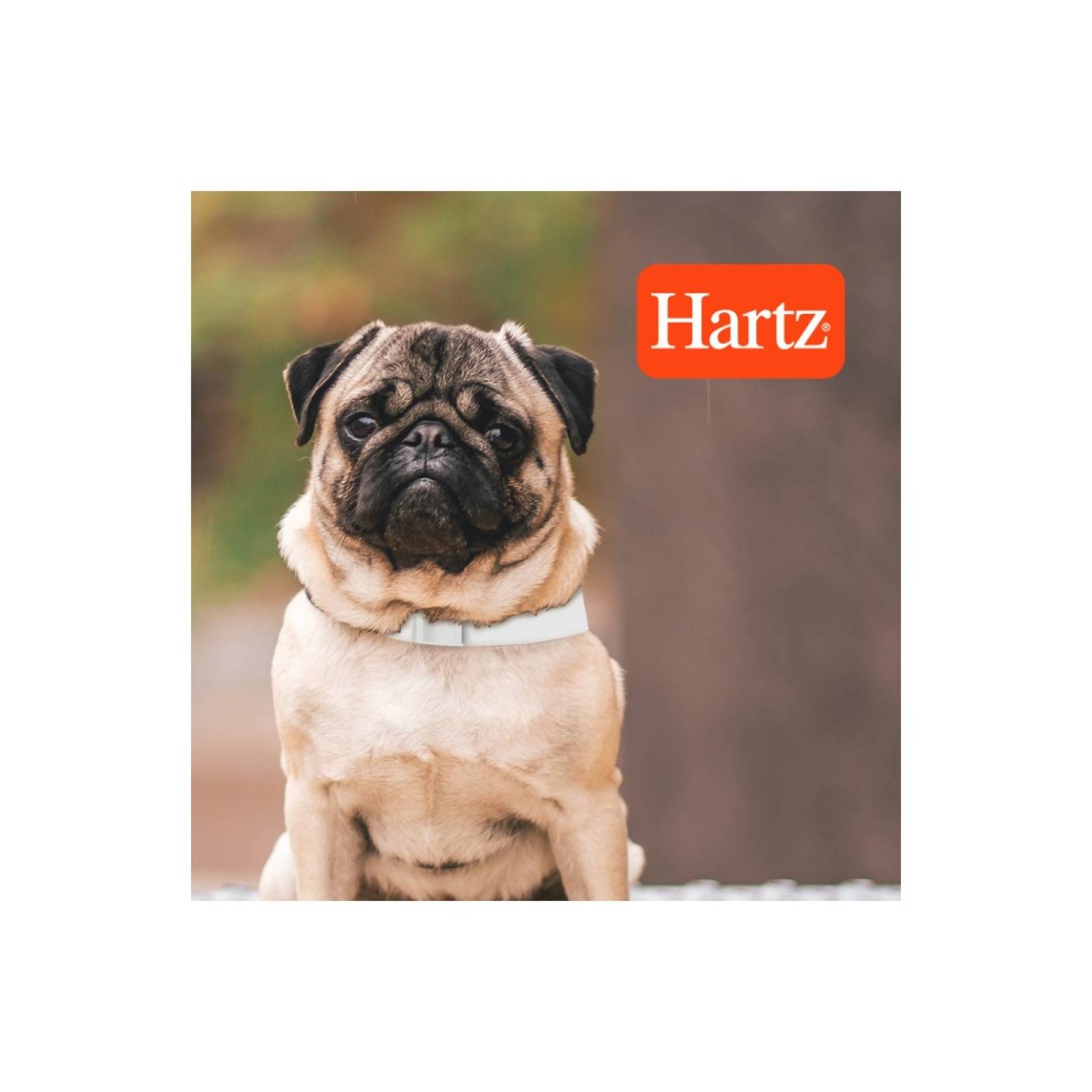 Hartz collar antipulgas 2 en 1 para perros 