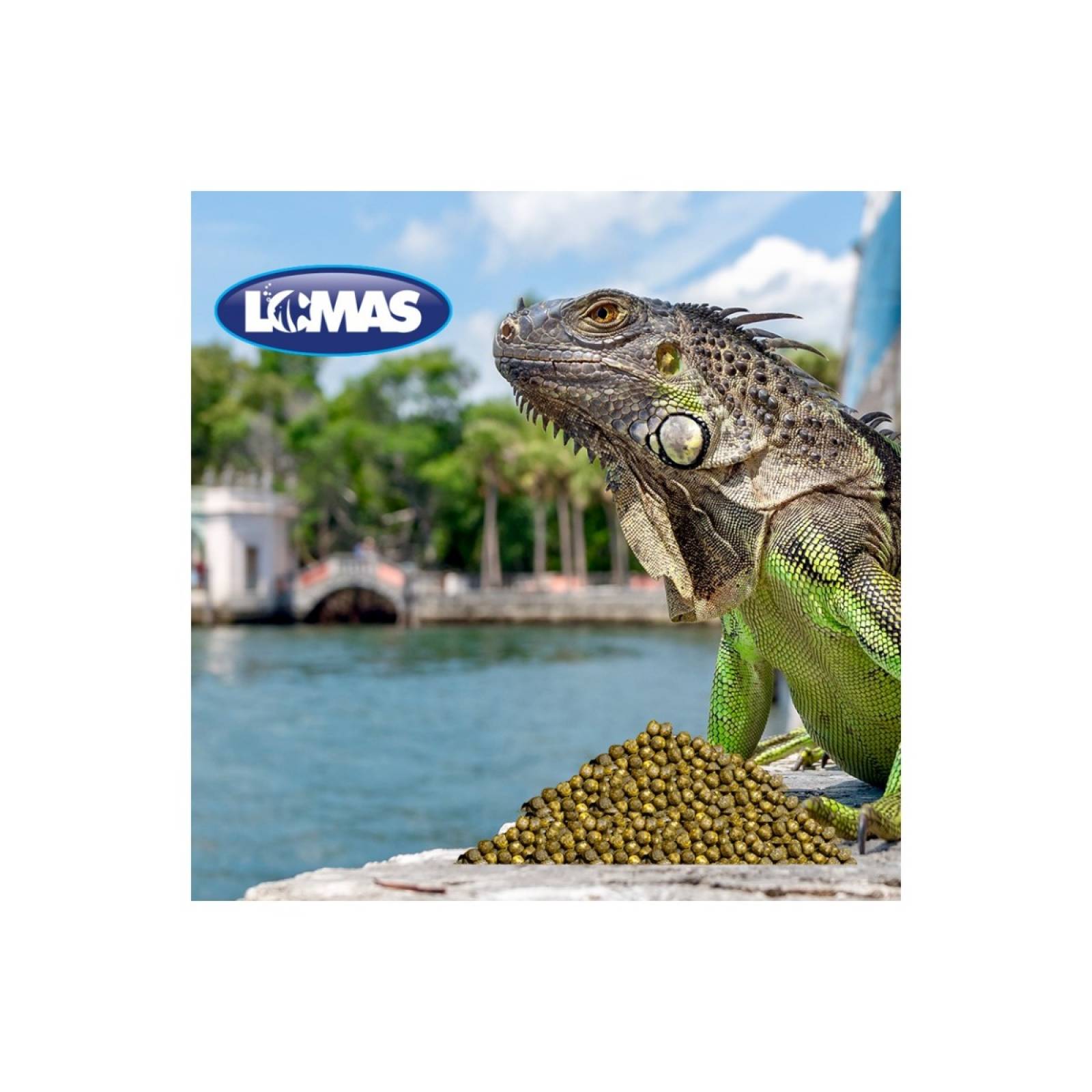Acuario lomas alimento para iguana juvenil 700gr