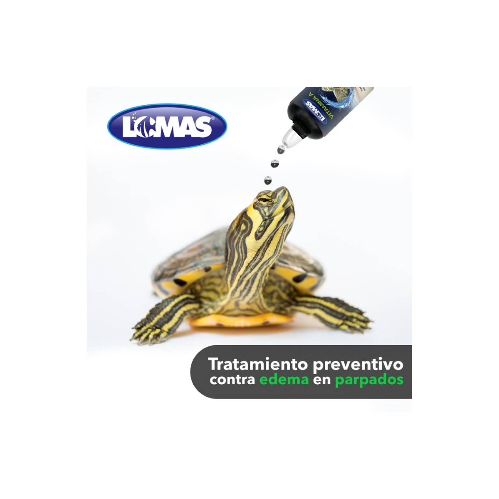 Acuario lomas vitamina a para tortugas 30 ml 