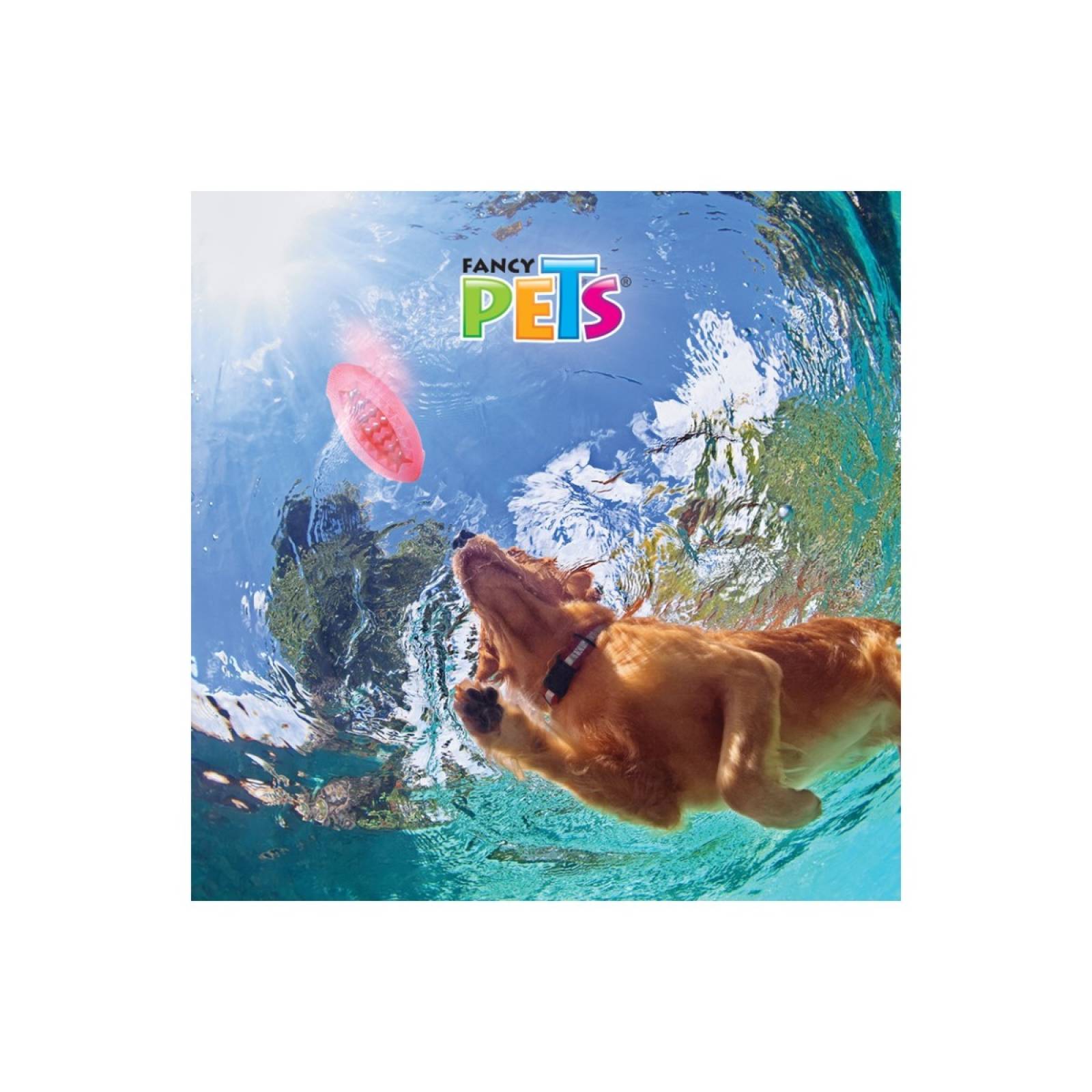 Juguete masticable balon americano fancy pets