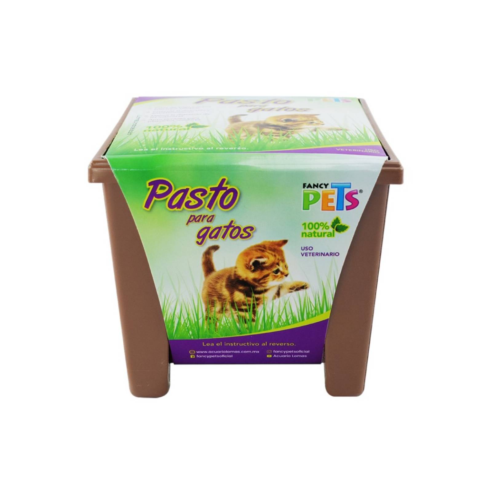 Pasto para gatos fancy pets