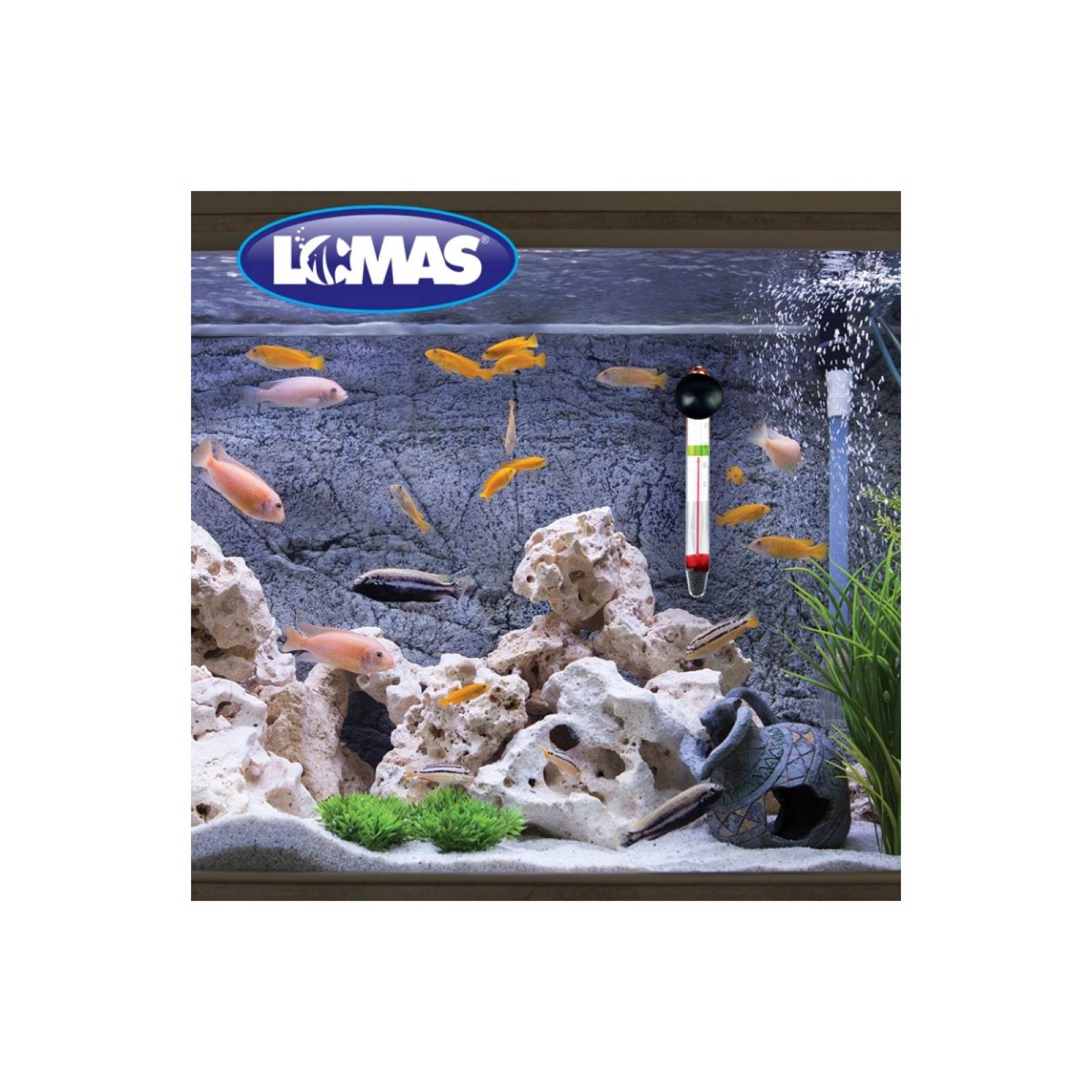 Termometro Flotante Chupon Acuario Lomas