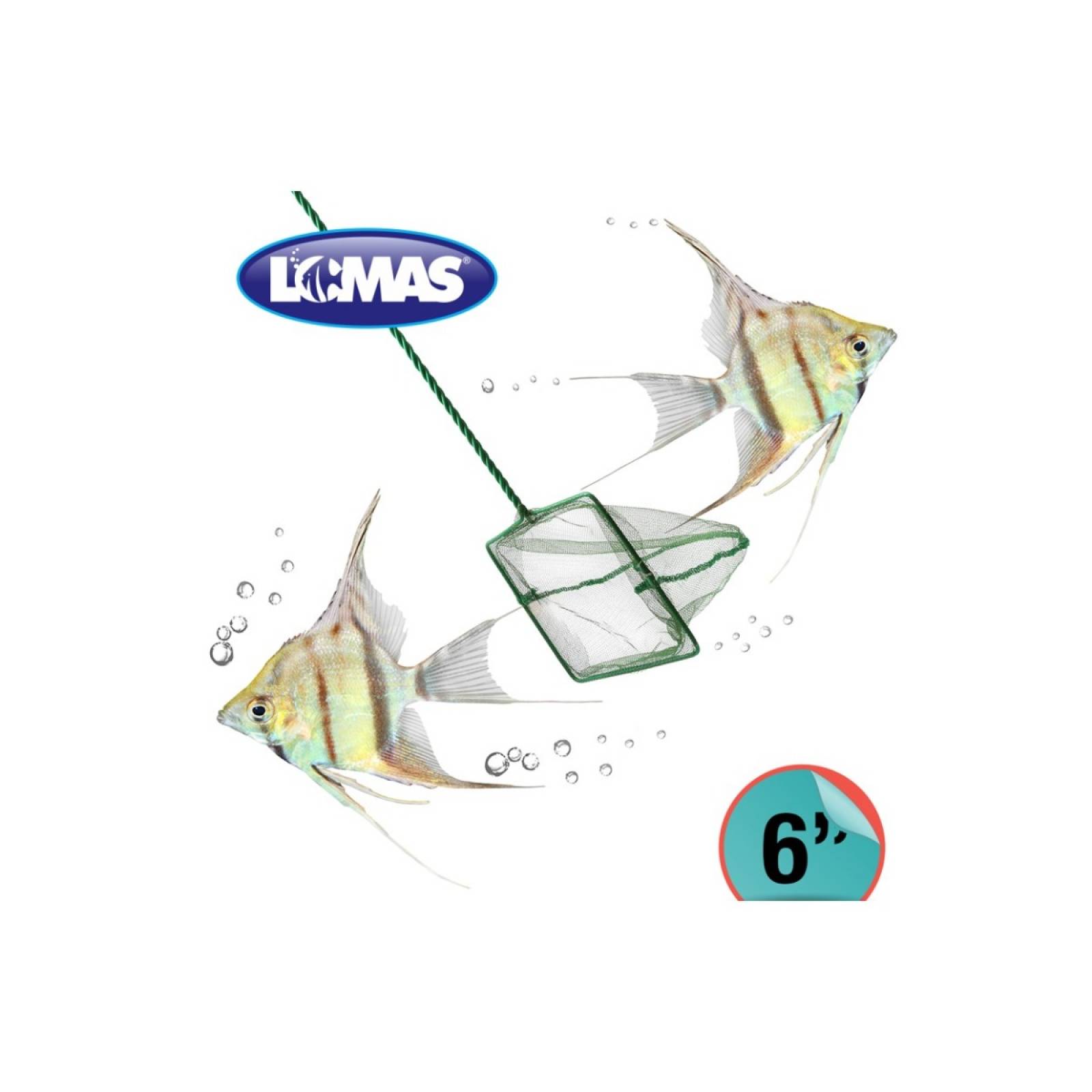 Red De Malla Gruesa 15 Cm Acuario Lomas