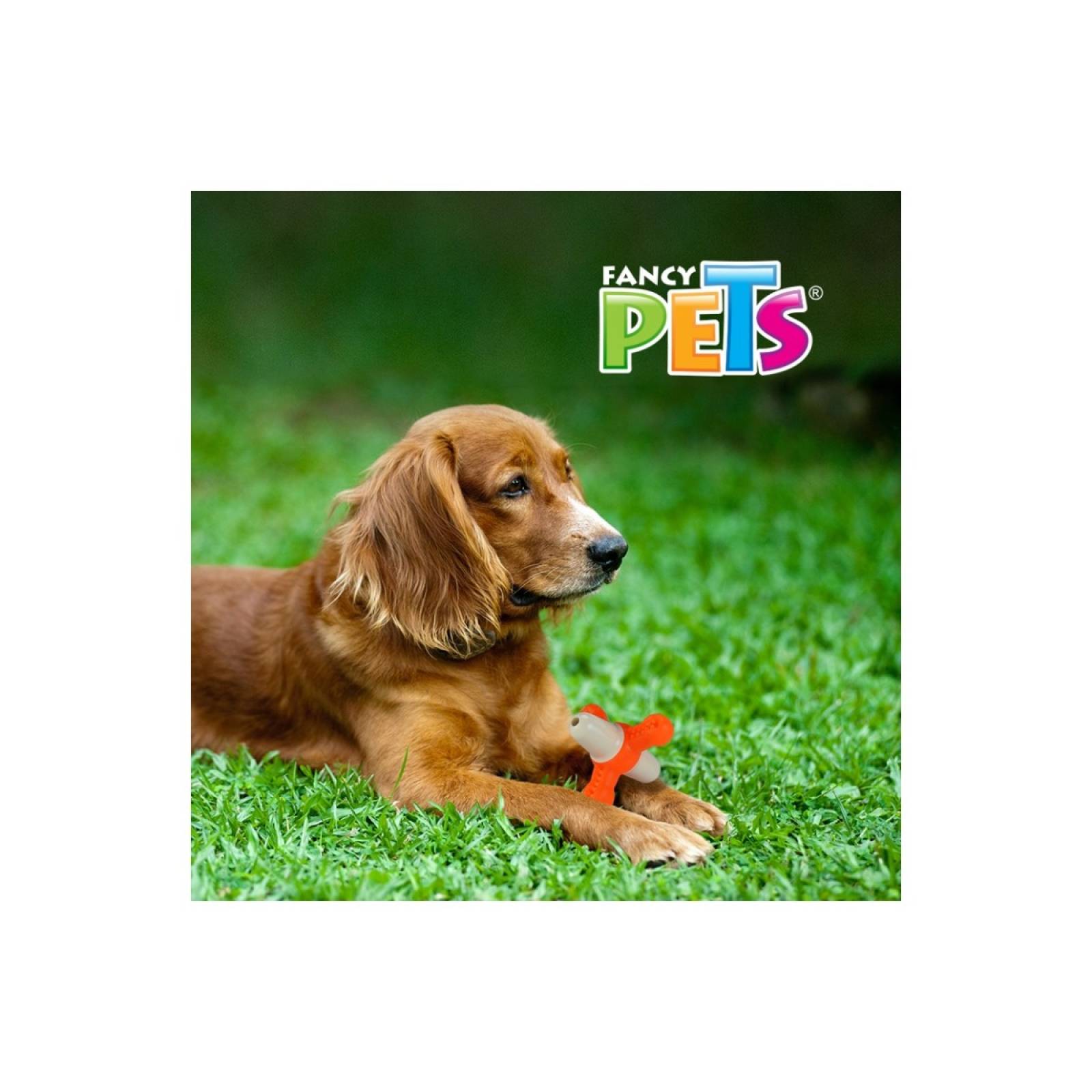 Juguete Dental Matatena Con Sonido Fancy Pets