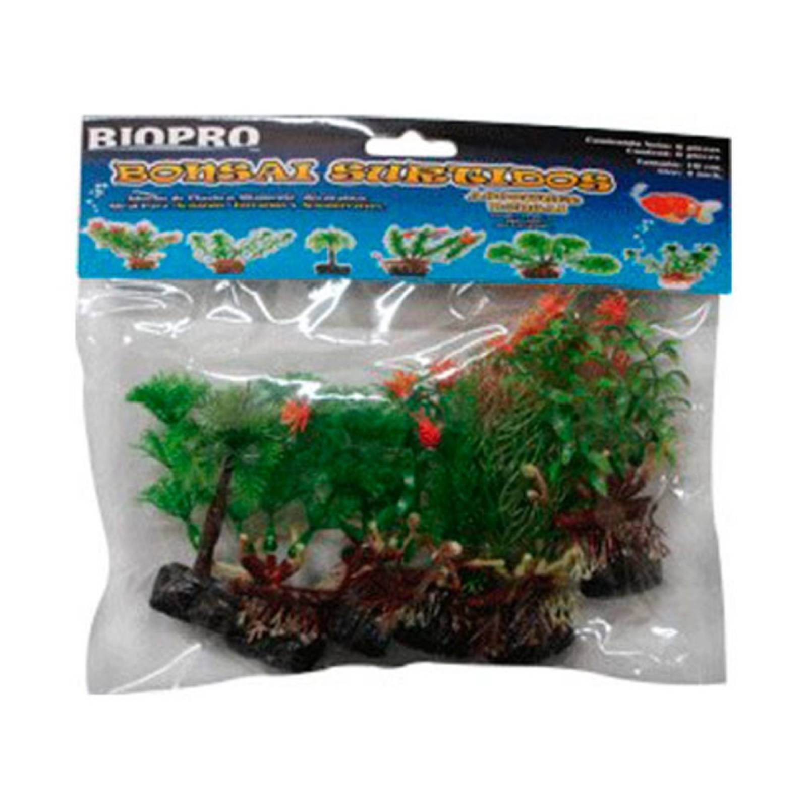 Plantas Bonsai Surtido Para Acuario O Terrario 10Cm Biopro