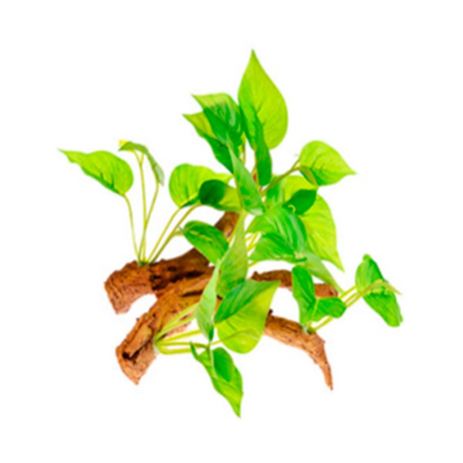 Raiz Con Plantas #3 Para Acuario O Terrario Biopro