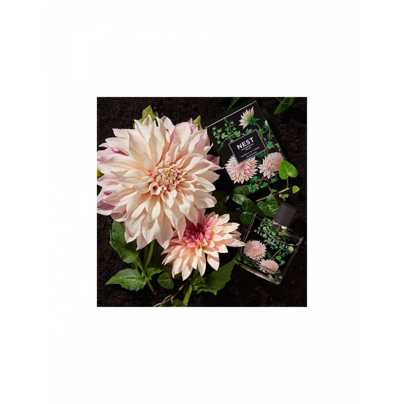 Perfume Dahlia & Vines 50ml Nest