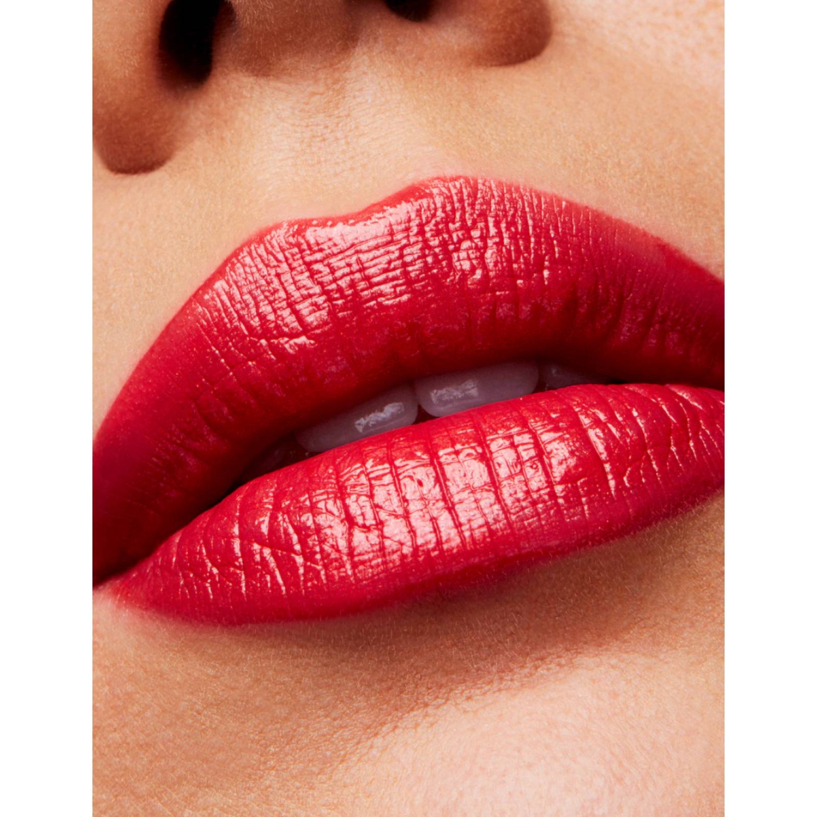 Labial MAC Cremesheen Lipstick Dozen Carnations