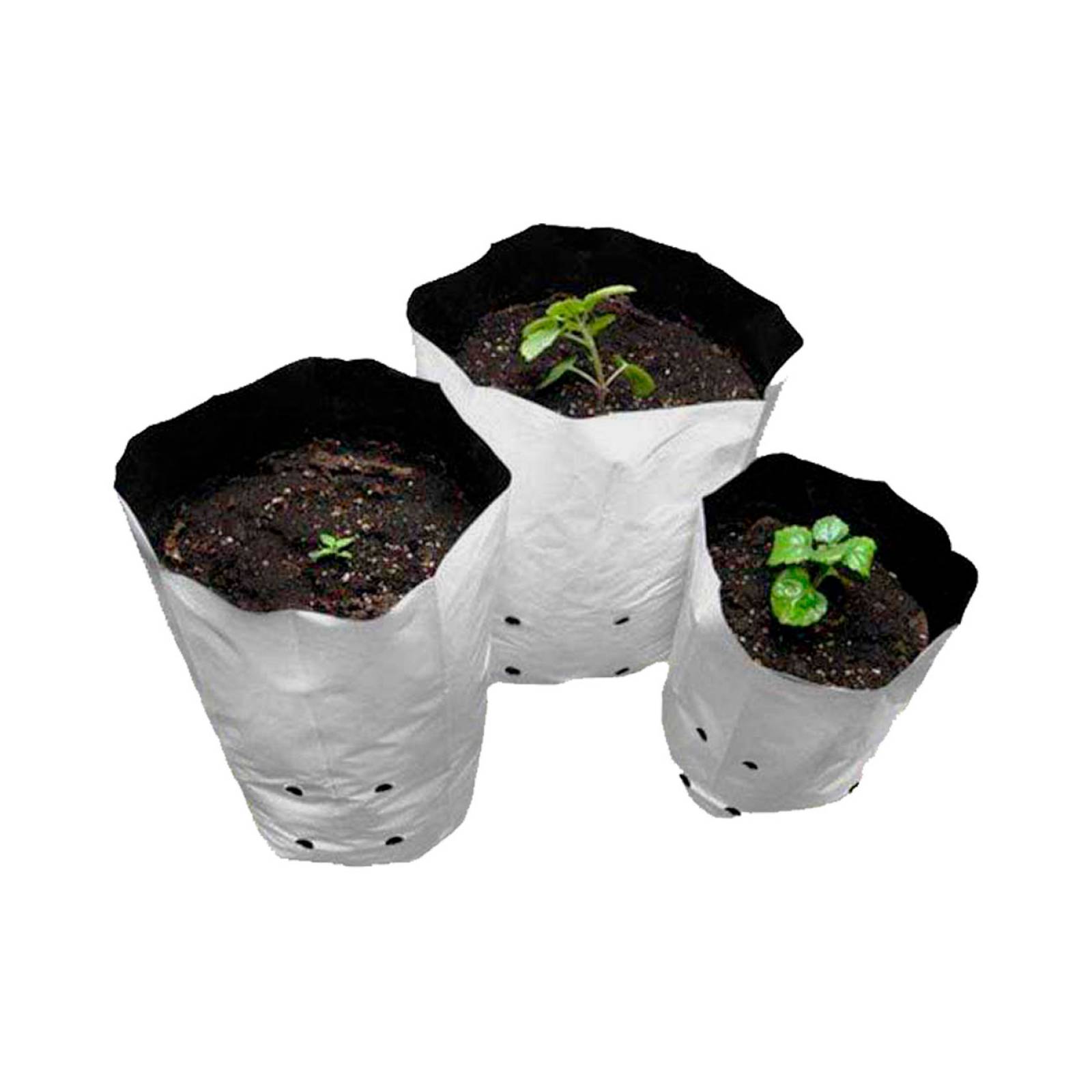 BOLSA DE CULTIVO BLANCO Y NEGRO 1 GAL (100 pzas)