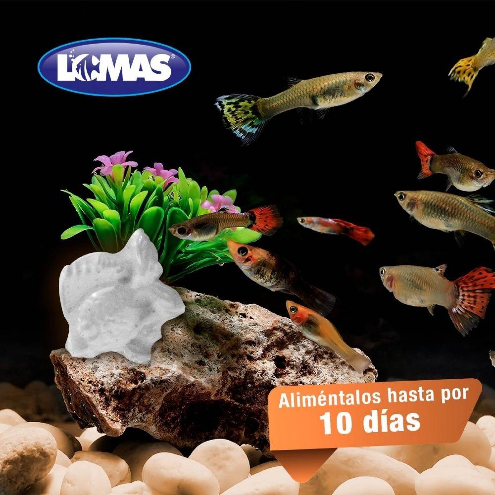 LOMAS Alimento Vacaciones Para Peces De Ornato 10 días 