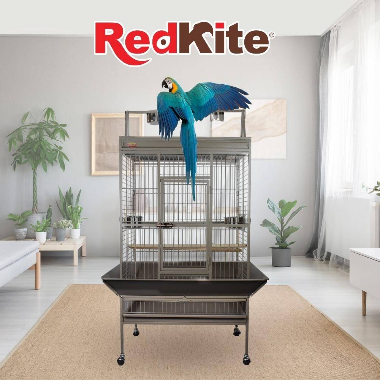 Jaula Aves Redkite Loro Guayaquil 2 Dayang 