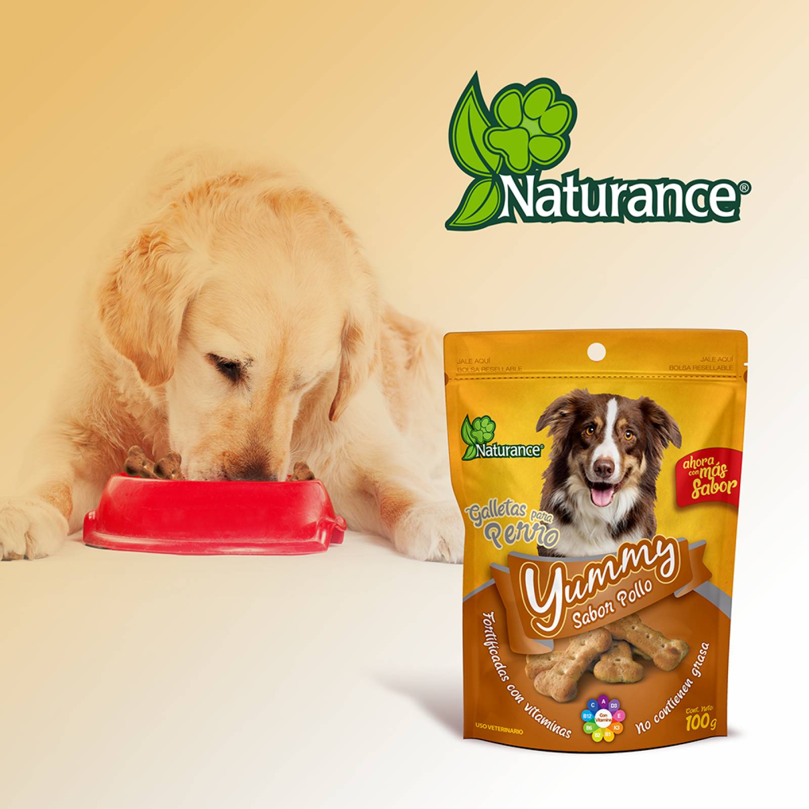 Yummy galletas para perro snacks Sabor Pollo 100 grs