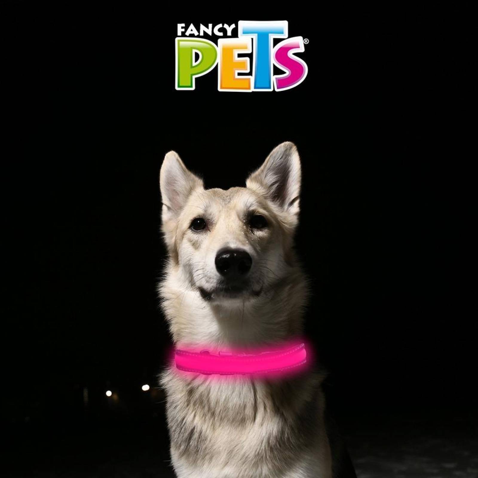 Collar Perro Led Con Reflejante Chico Bateria Reemplazable 