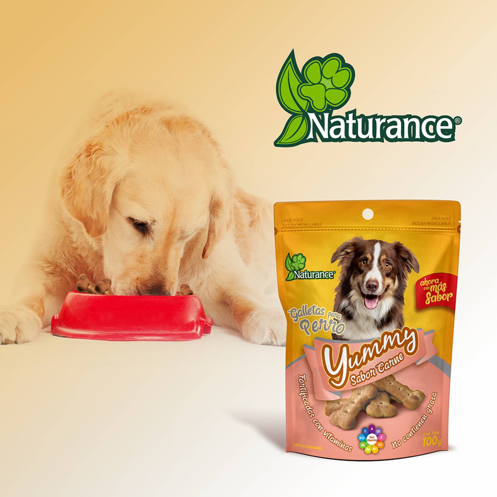 Yummy galletas para perro snacks Sabor Carne 100 grs 