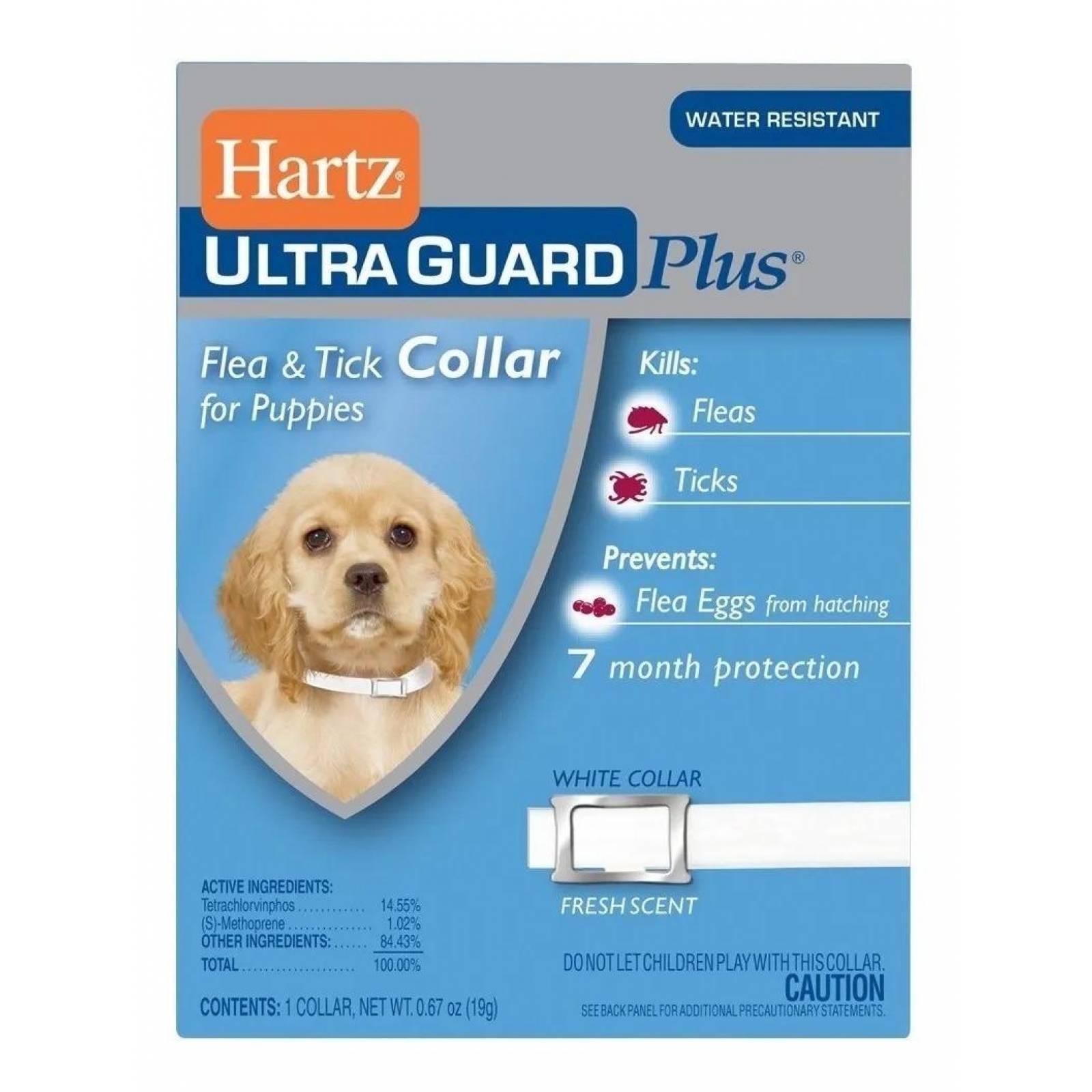 Collar Antipulgas Cachorro Elimina Pulgas Y Garrapatas 