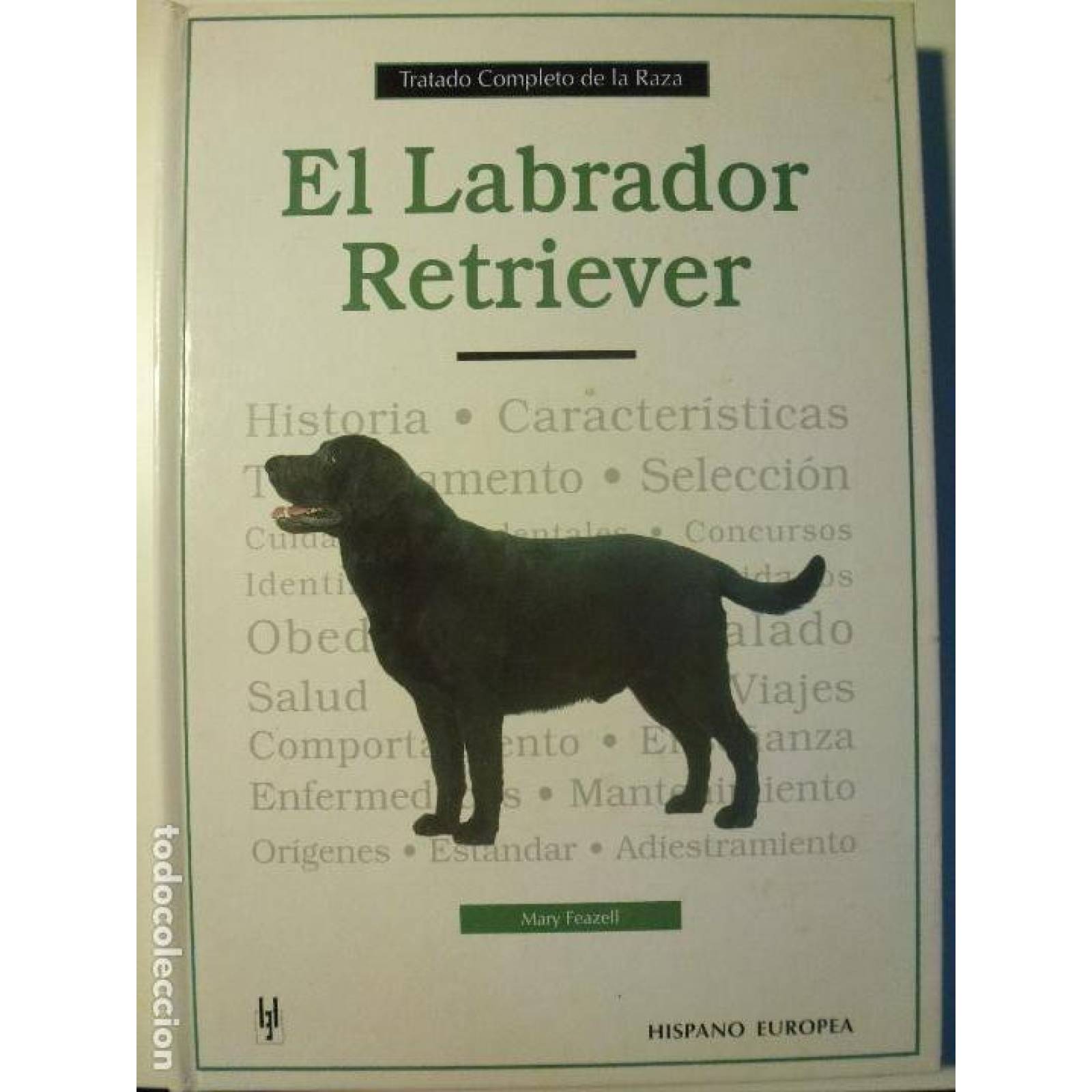 Libro Tratado Comp-labrador Retriever Ed Hispano Europea 