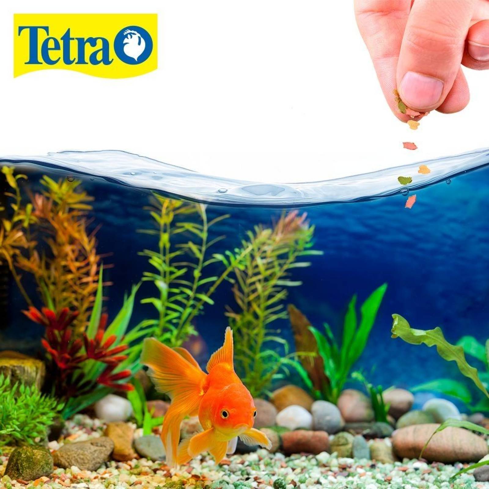 Tetra Alimento Peces Tetrafin Goldfish japones Flakes 62G 