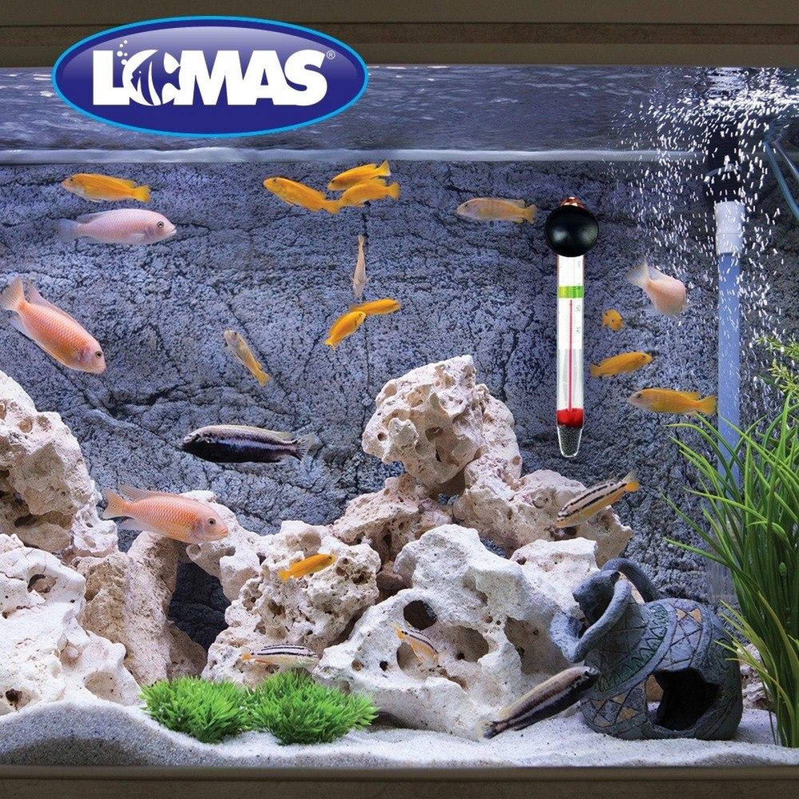 LOMAS Termometro Flotante Con Chupon Fp Para Peceras 