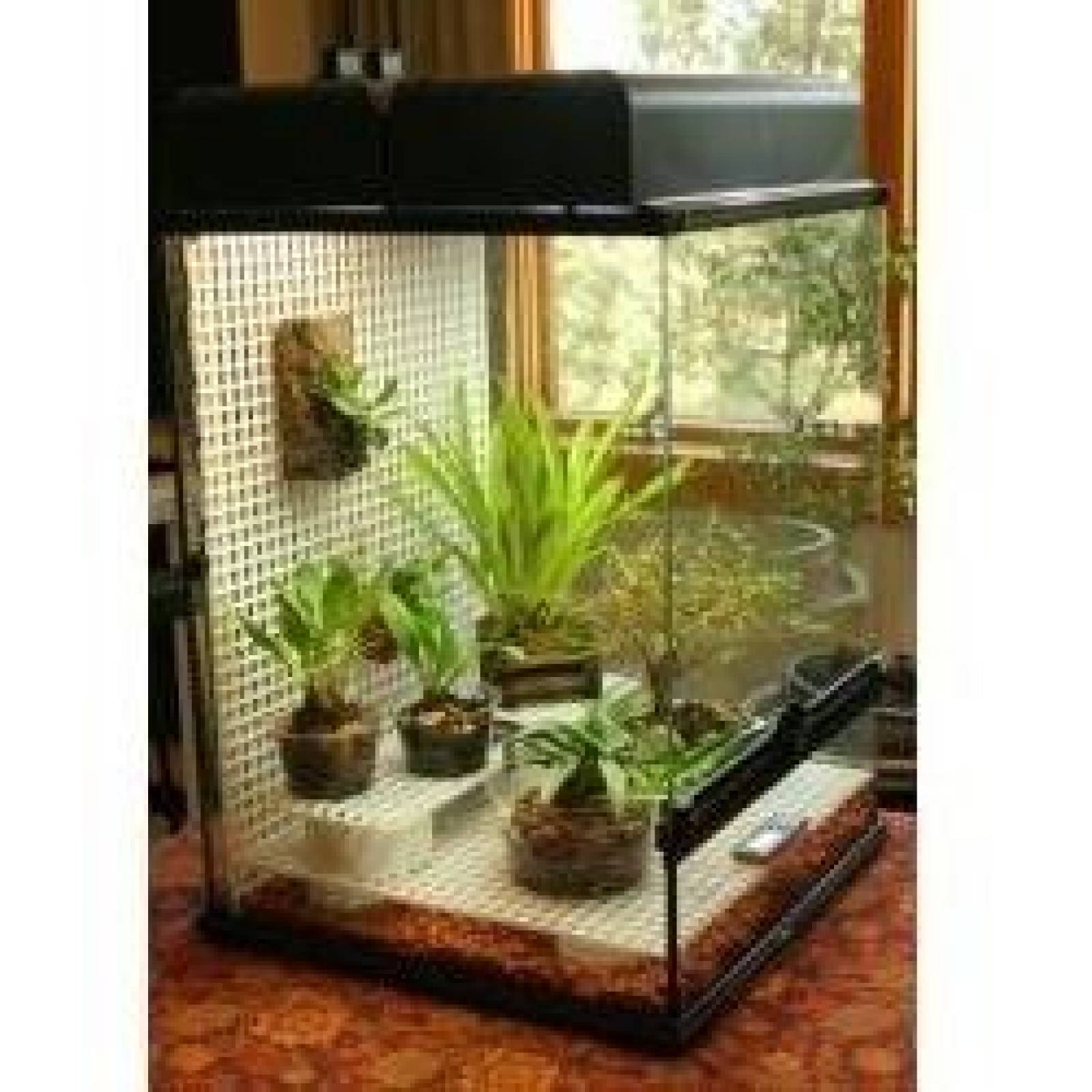 Rept-o-meter Higrometro De Reloj Exo Terra Mide Humedad