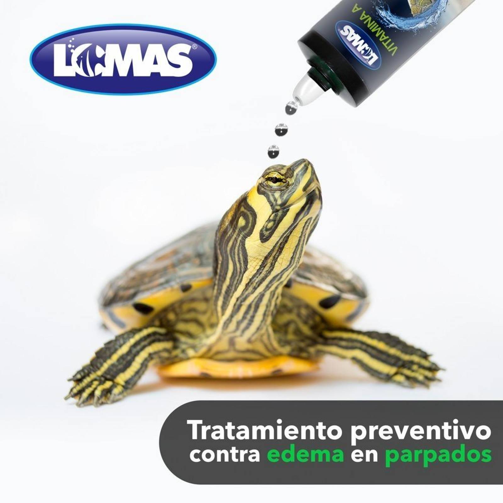 LOMAS Tratamiento Vitamina A Para Tortugas De 120 Ml/ 4 Oz. 