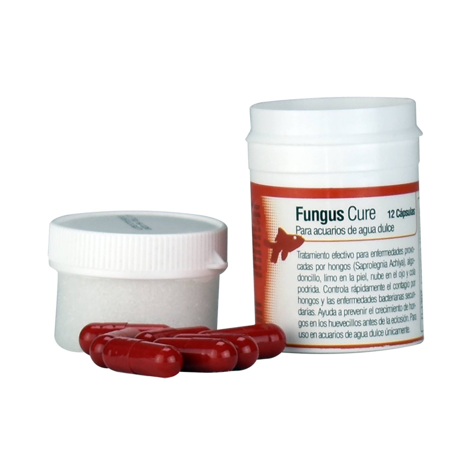 Capsulas peces Saprolegnia y Achlya y Algodoncillo y hongos 