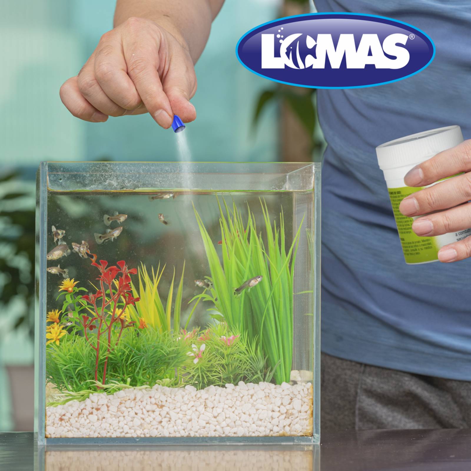 Capsulas para peces protozoario Ich punto blanco