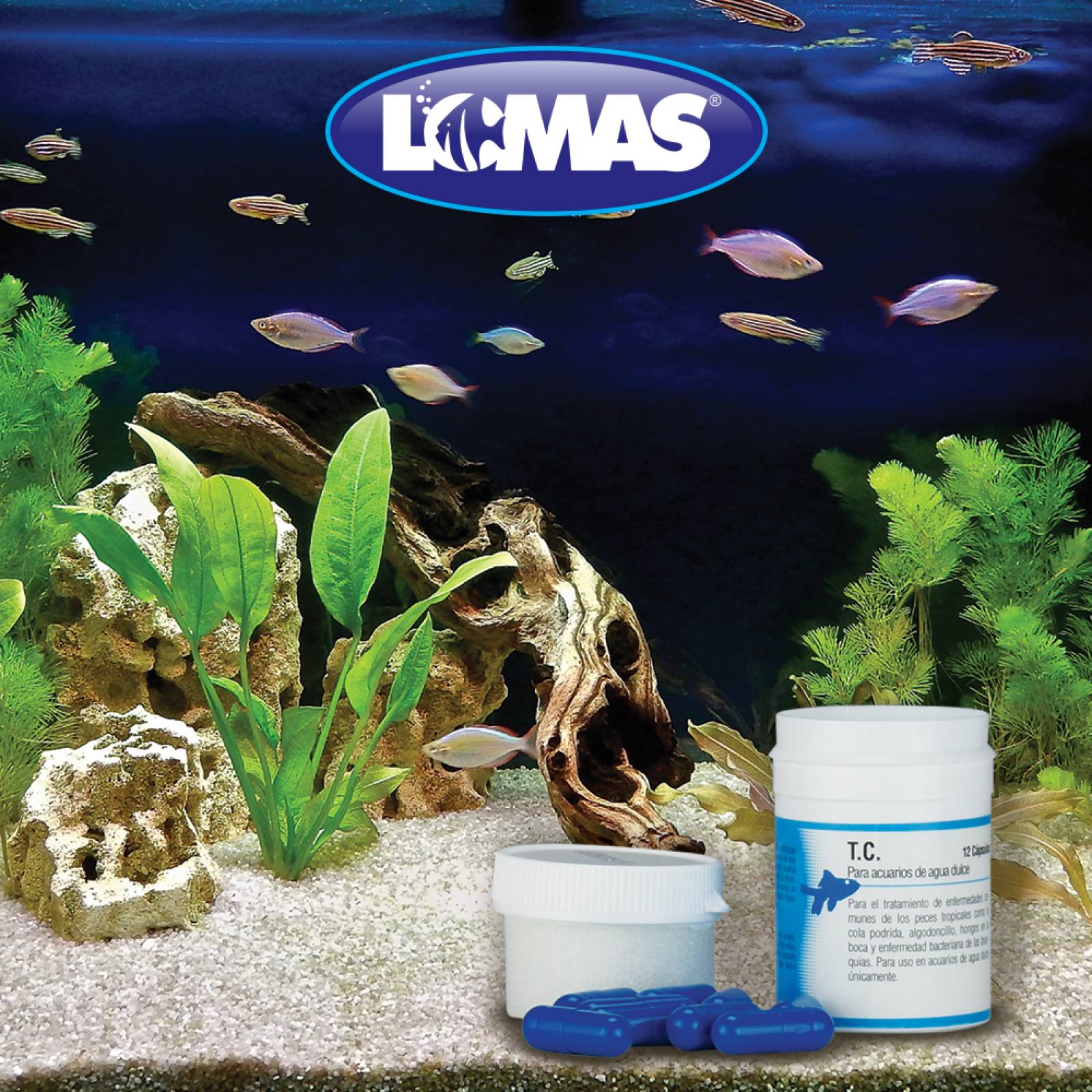 Capsulas para peces - Cola podrida - Algodoncillo - Hongos en la boca 