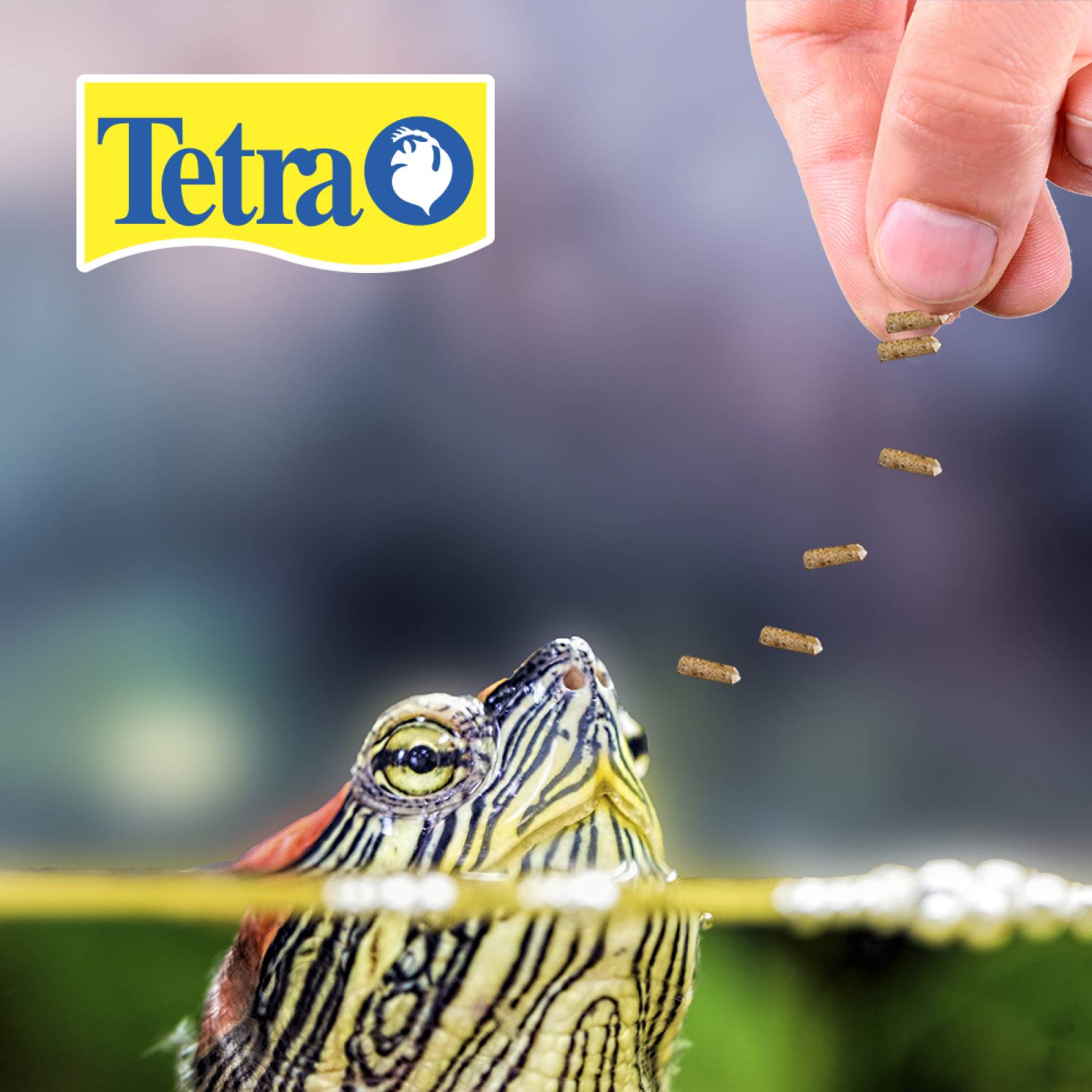 Alimento tortuga Reptomin Floating Sticks Baby 26G calcio 